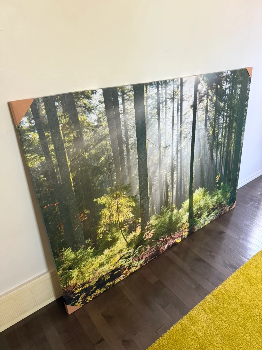 Forest Sunlight canvas thumbnail