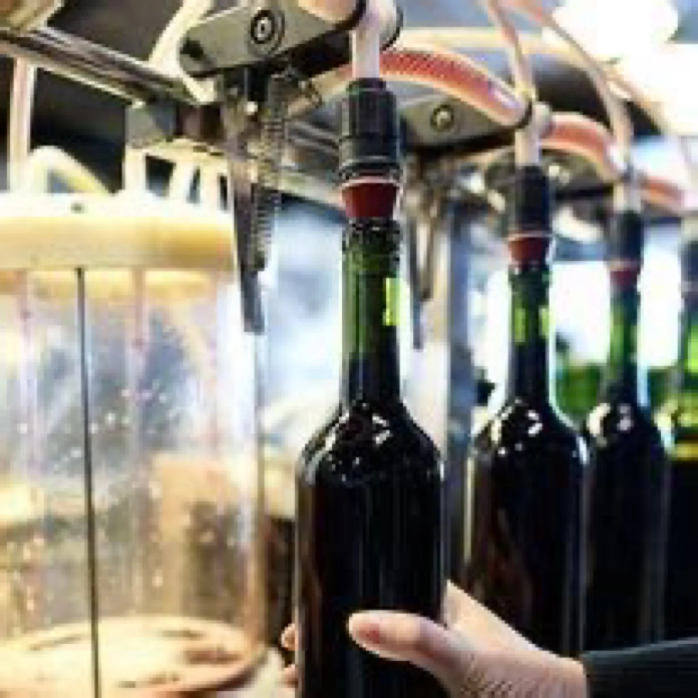 BOTTLE YOUR OWN WINE GET 14 BOTTLES FREE thumbnail