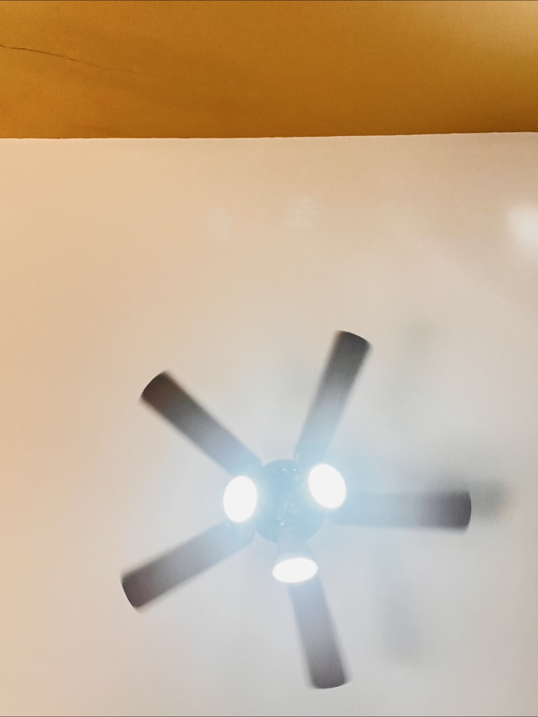 Ceiling fan - photo 3