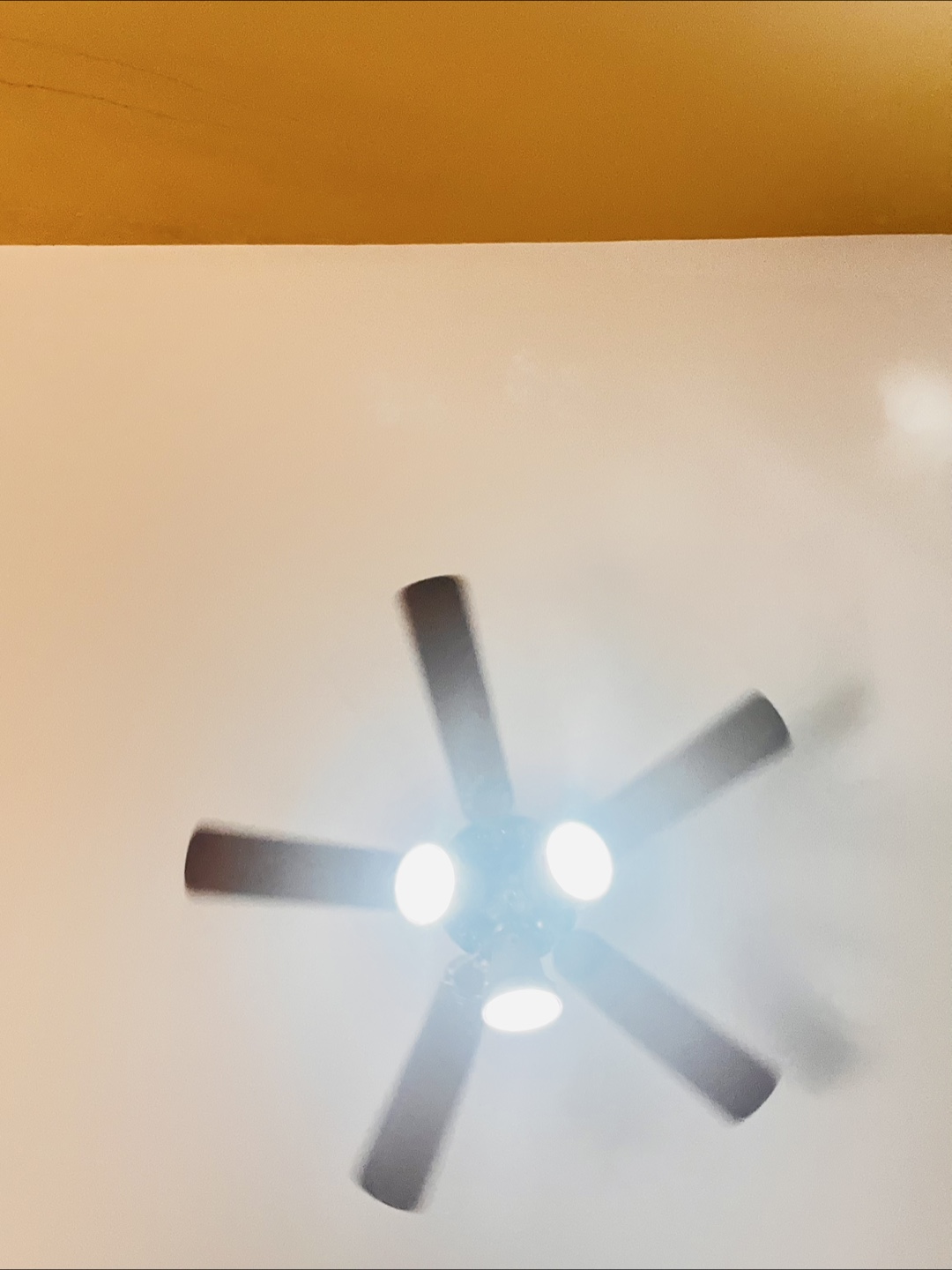 Ceiling fan - photo 2