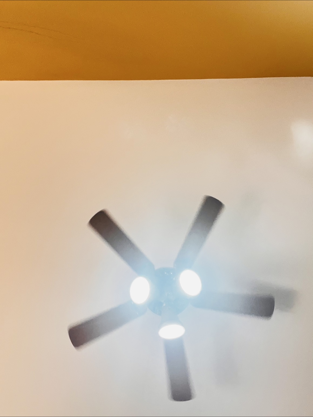 Ceiling fan