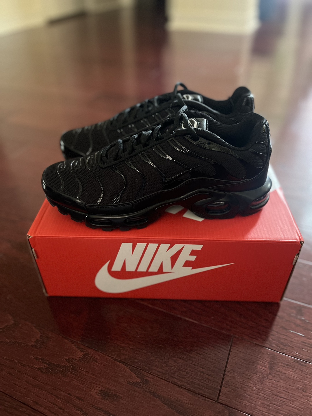 Brand new Nike airmax plus tn (9.5) - photo 3
