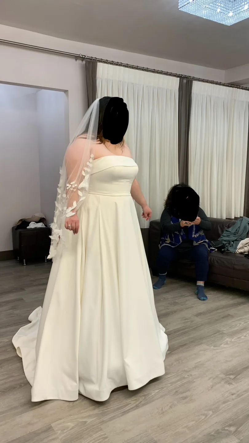 New Wedding Dress and Veil image indicator(2)