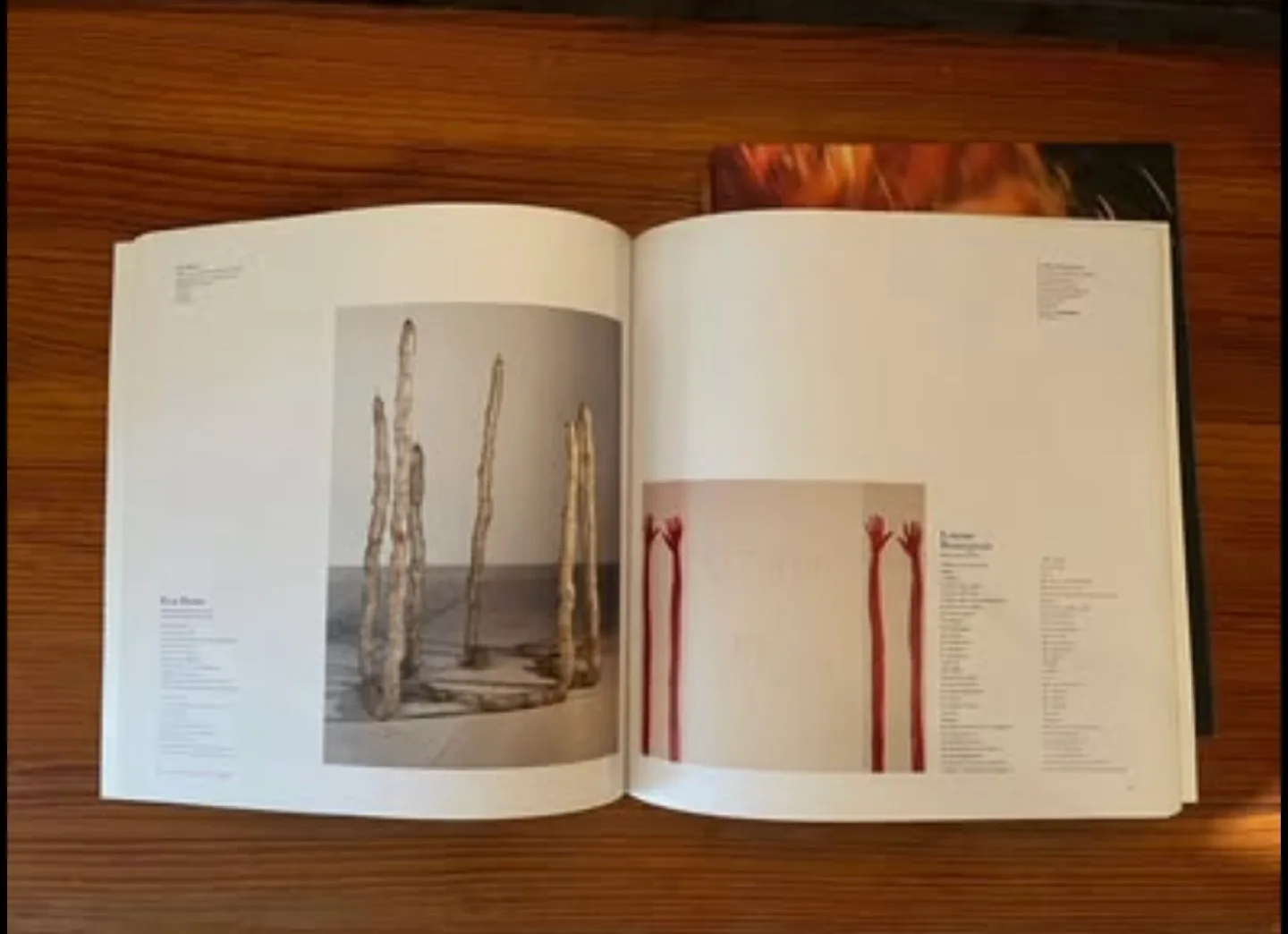 Women Artists: Elles @ Centre Pompidou (2 books/catalogues) image indicator(5)