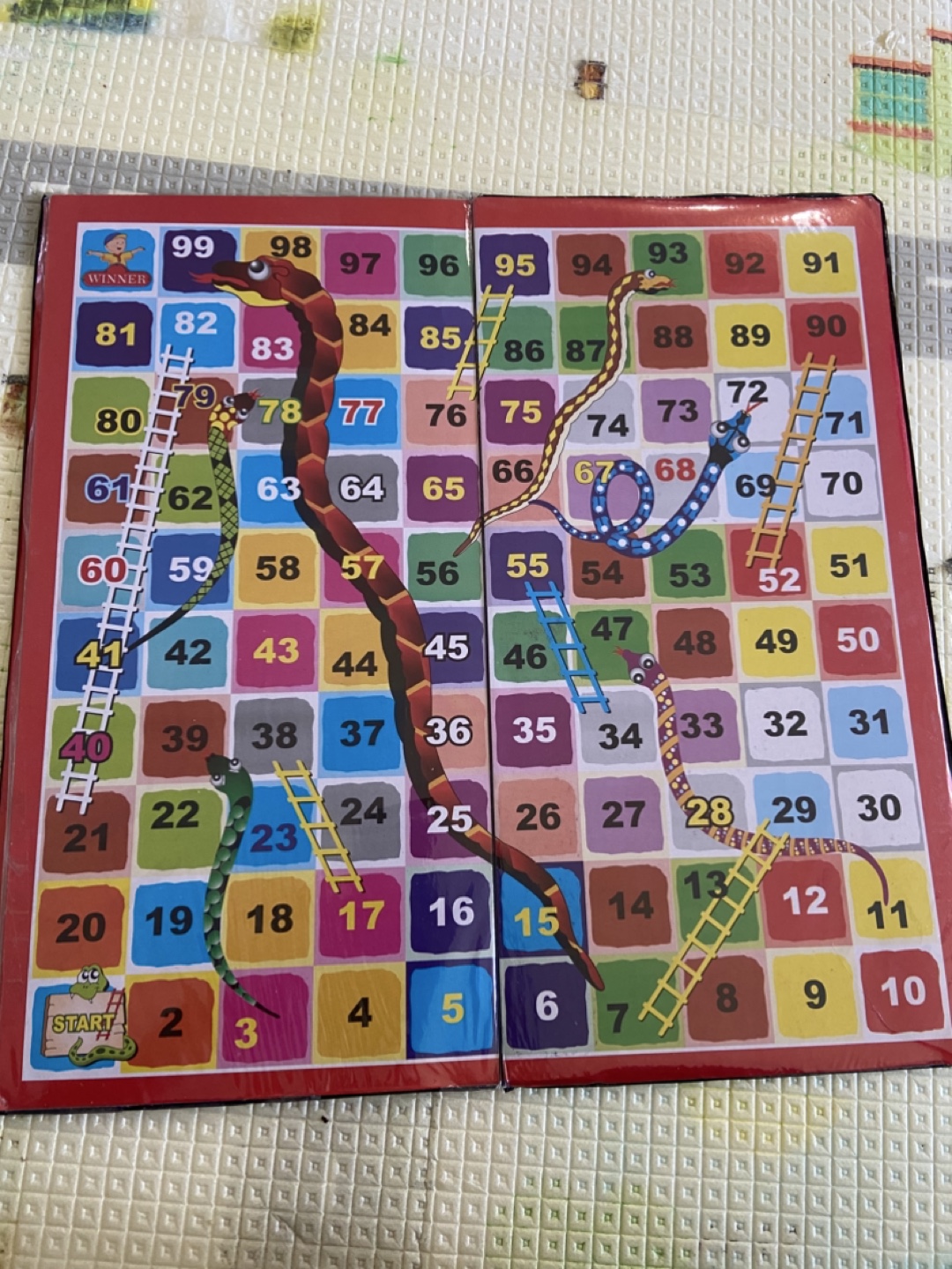 Snakes and Ladders & Ludo Board Game
