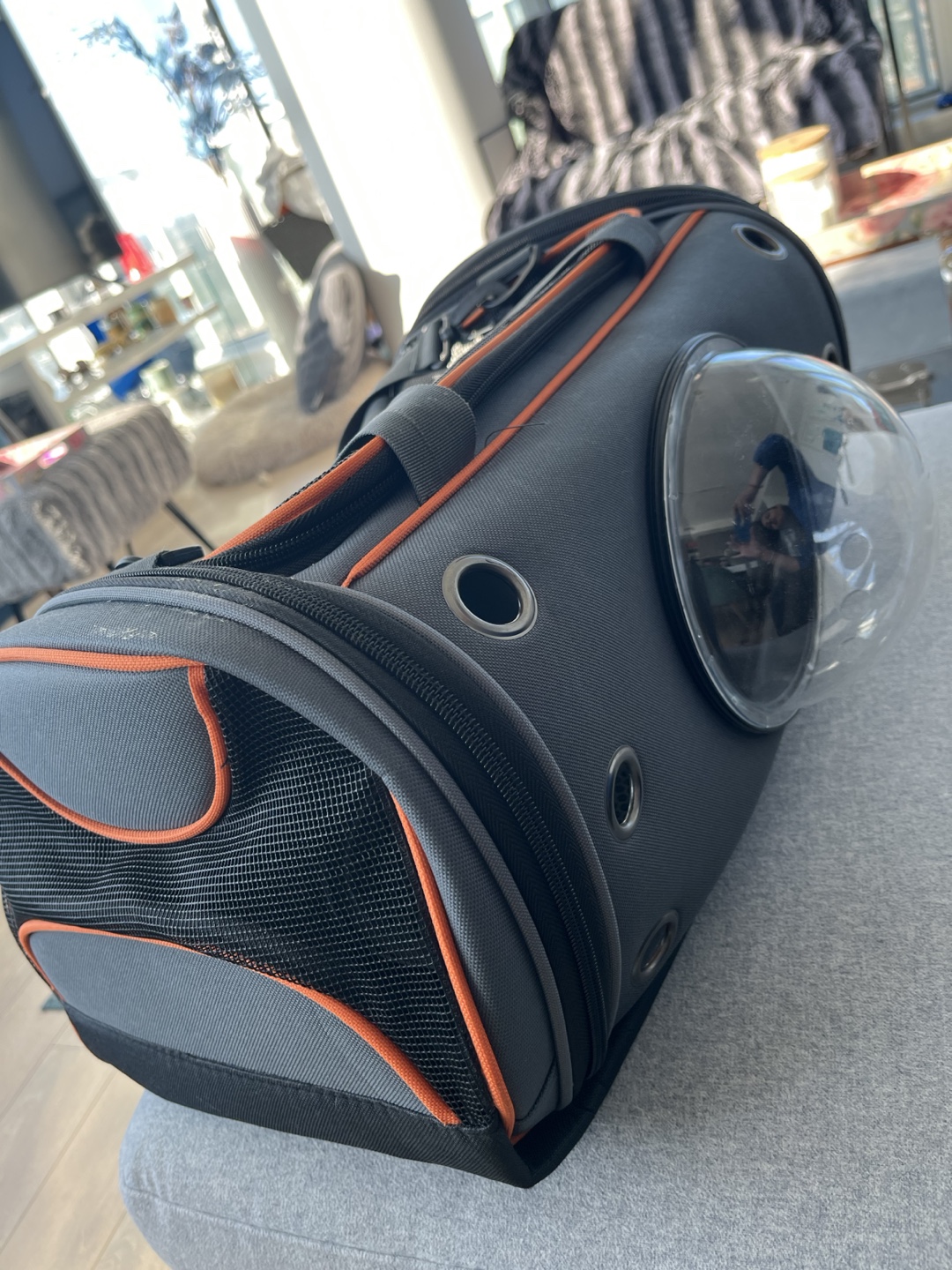 Pet Carrier - Space Capsule Design
