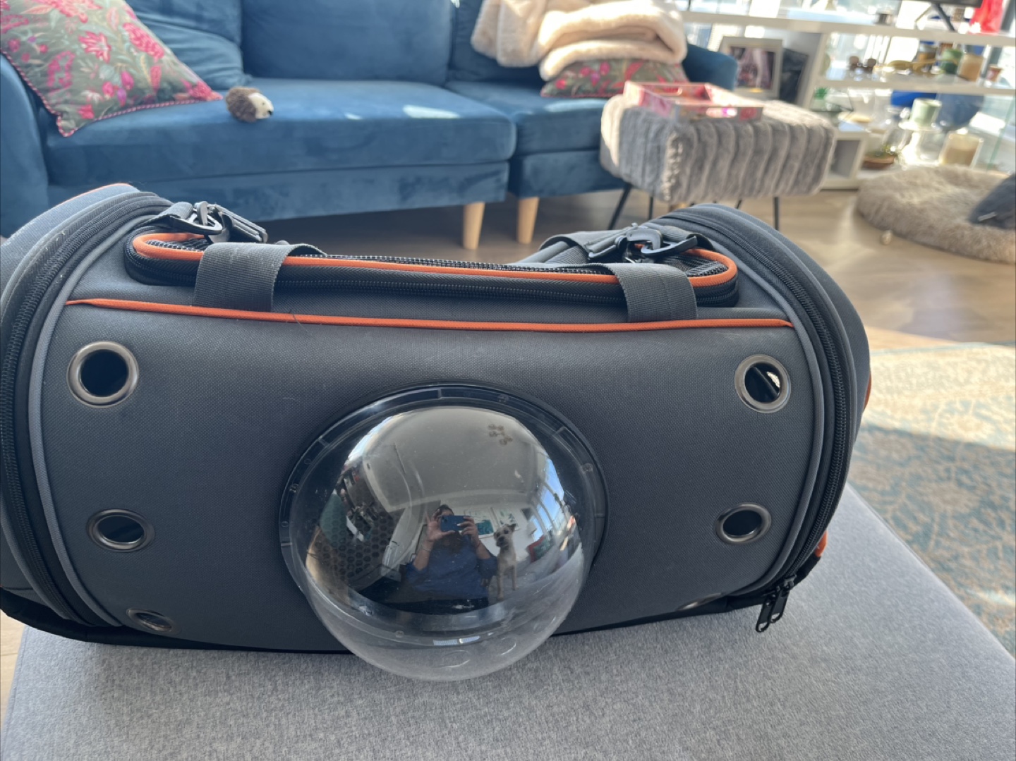 Pet Carrier - Space Capsule Design - photo 2