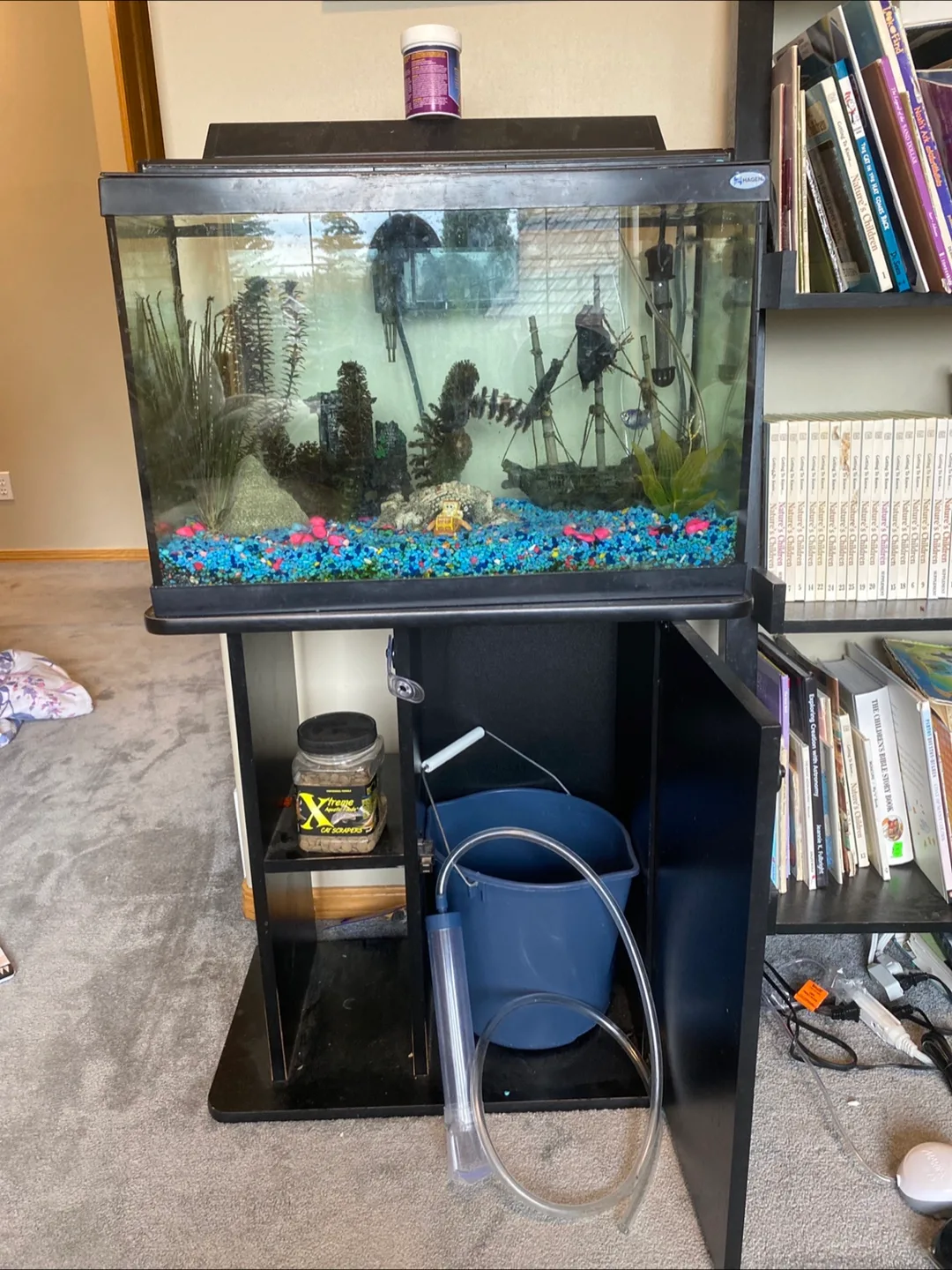 20 gallon fish tank thumbnail