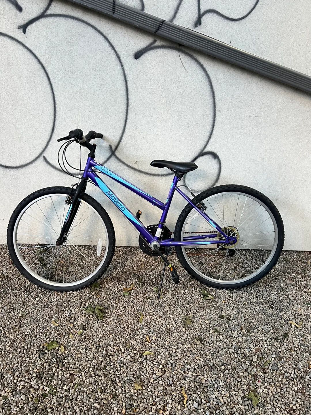 Movelo Algonquin 26" Women's Bike thumbnail