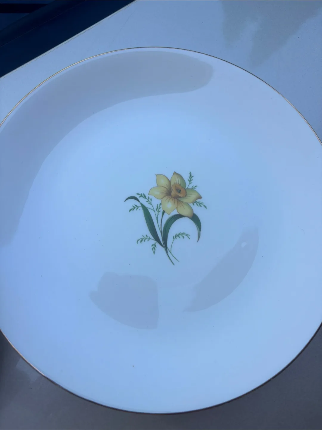 Vintage Daffodil Patterned Plates and Bowls Set image indicator(2)
