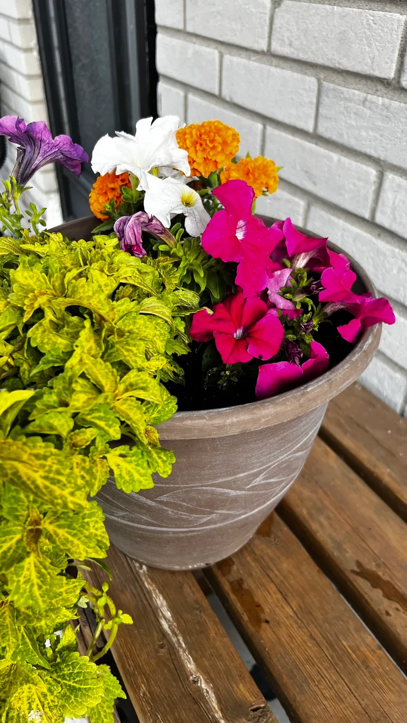 Flower pot thumbnail
