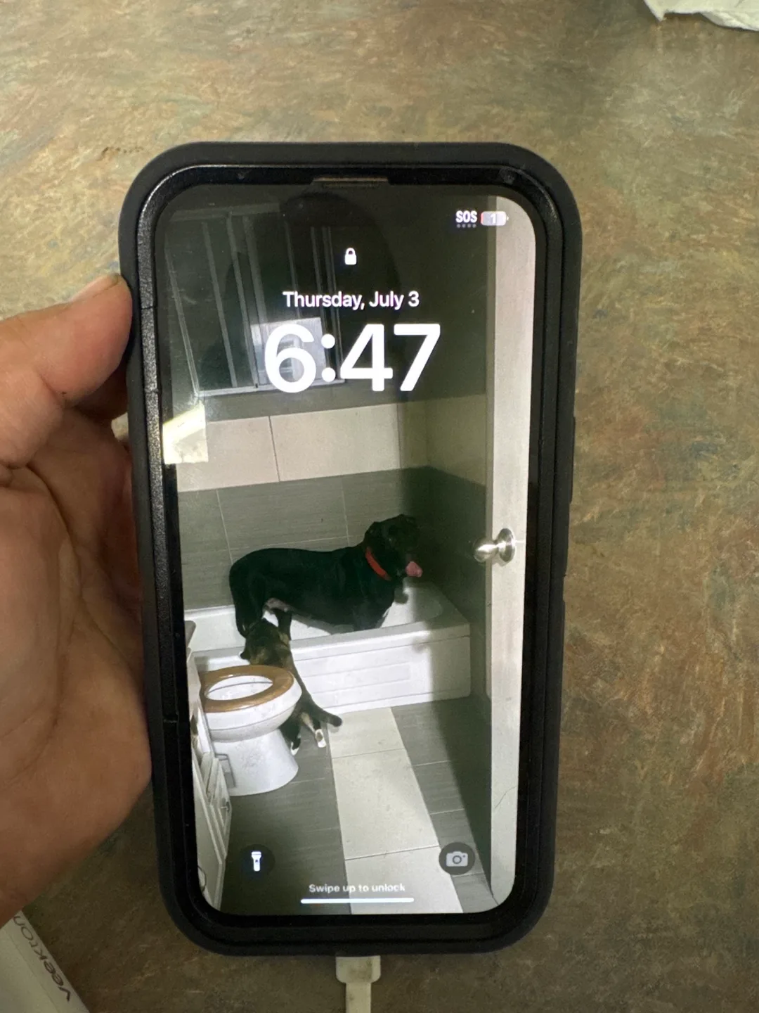 iPhone 14 Pro Max 256GB (Gold) thumbnail