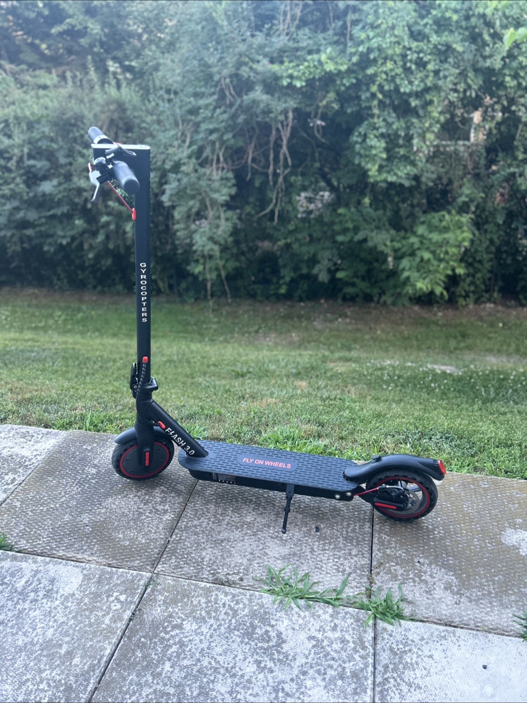 Electric scooter for adults