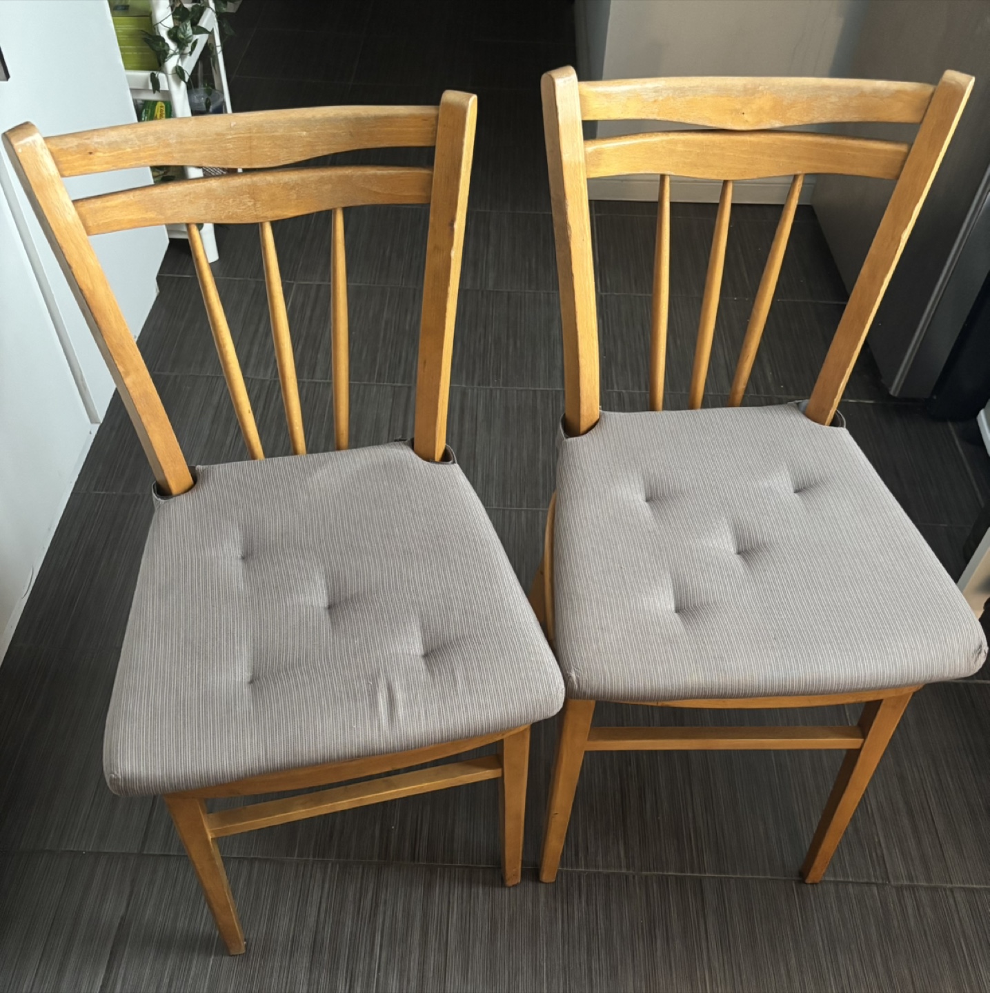 Wooden Dining Chairs with Cushions