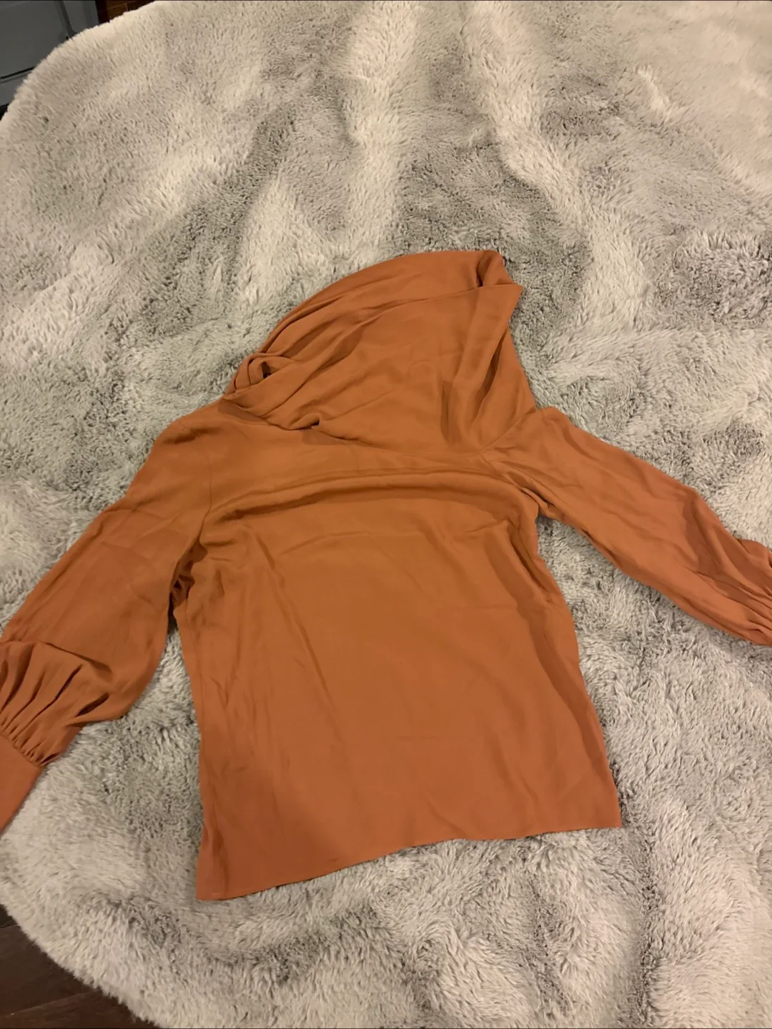 Brown Long Sleeve Blouse thumbnail