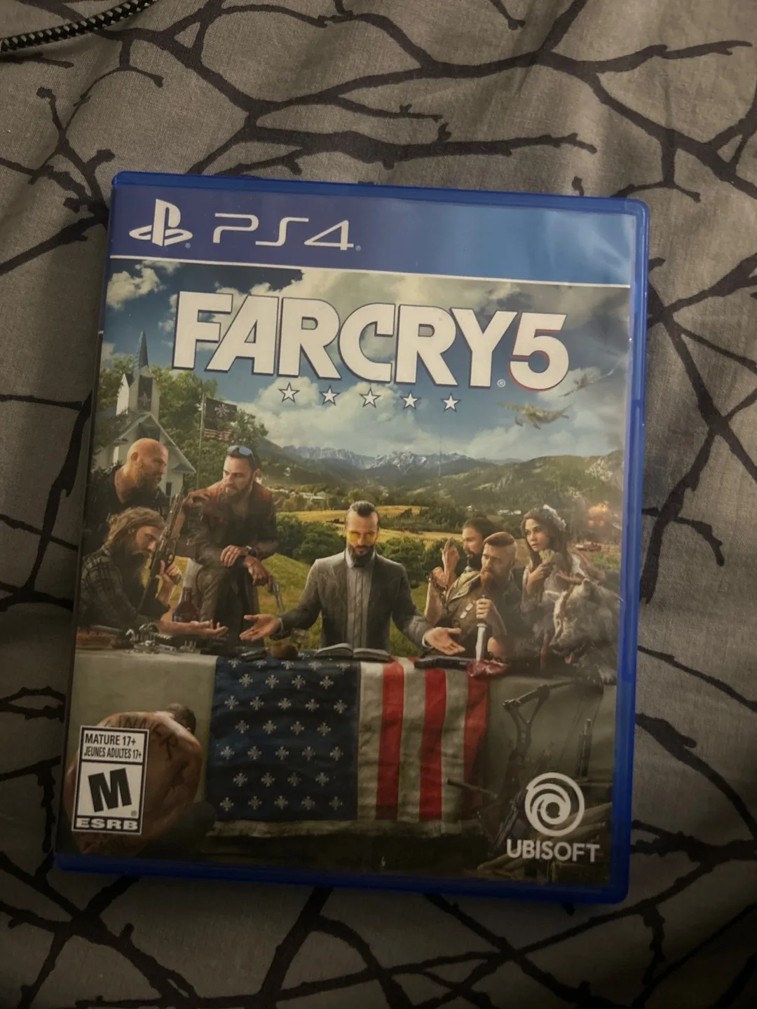 Far Cry 5 PS4 game thumbnail
