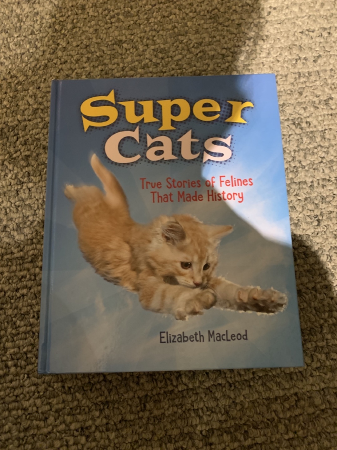 Children’s story books