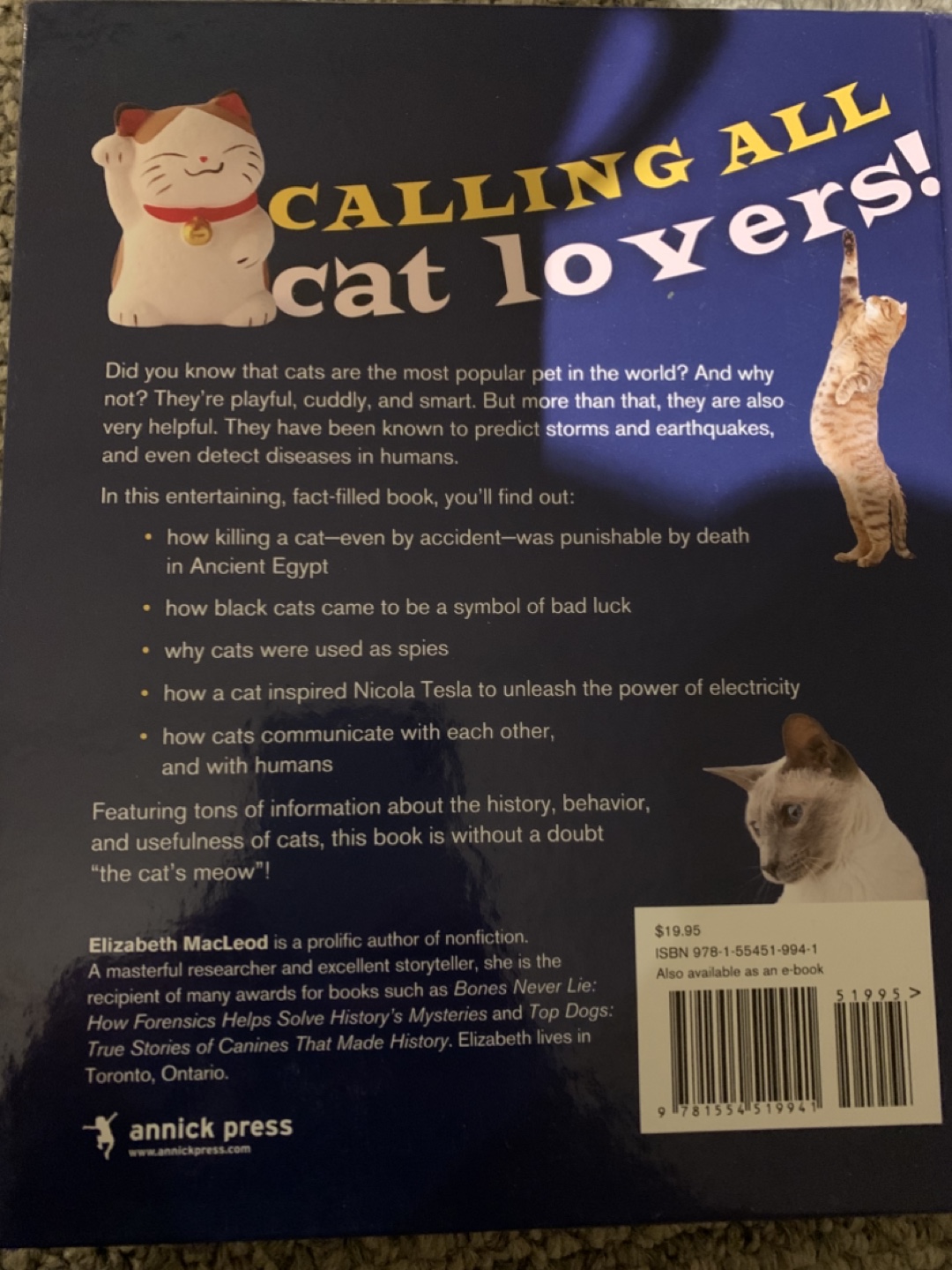 Children’s story books - photo 2