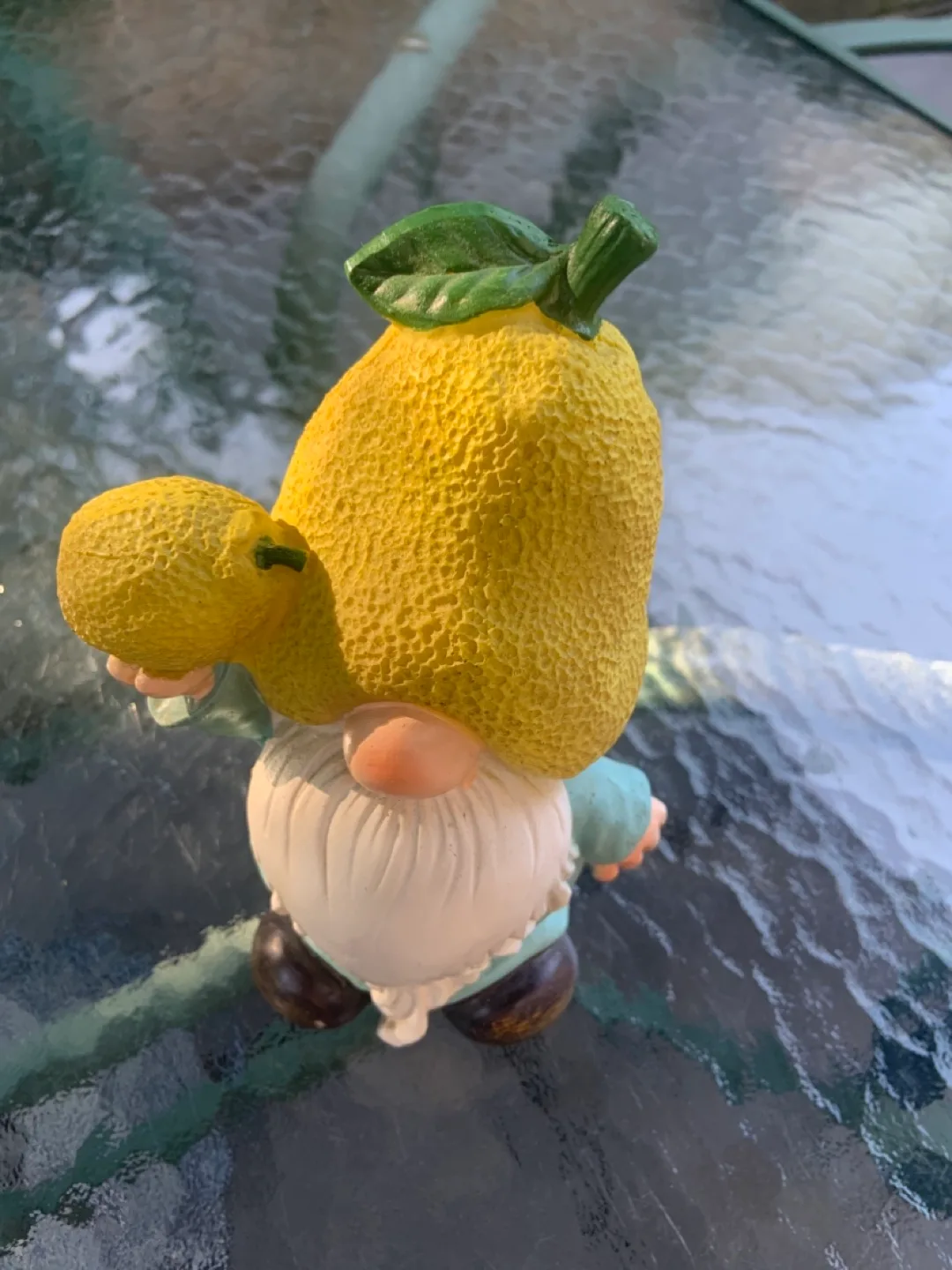 New Lemon Head Garden Gnome image indicator(3)