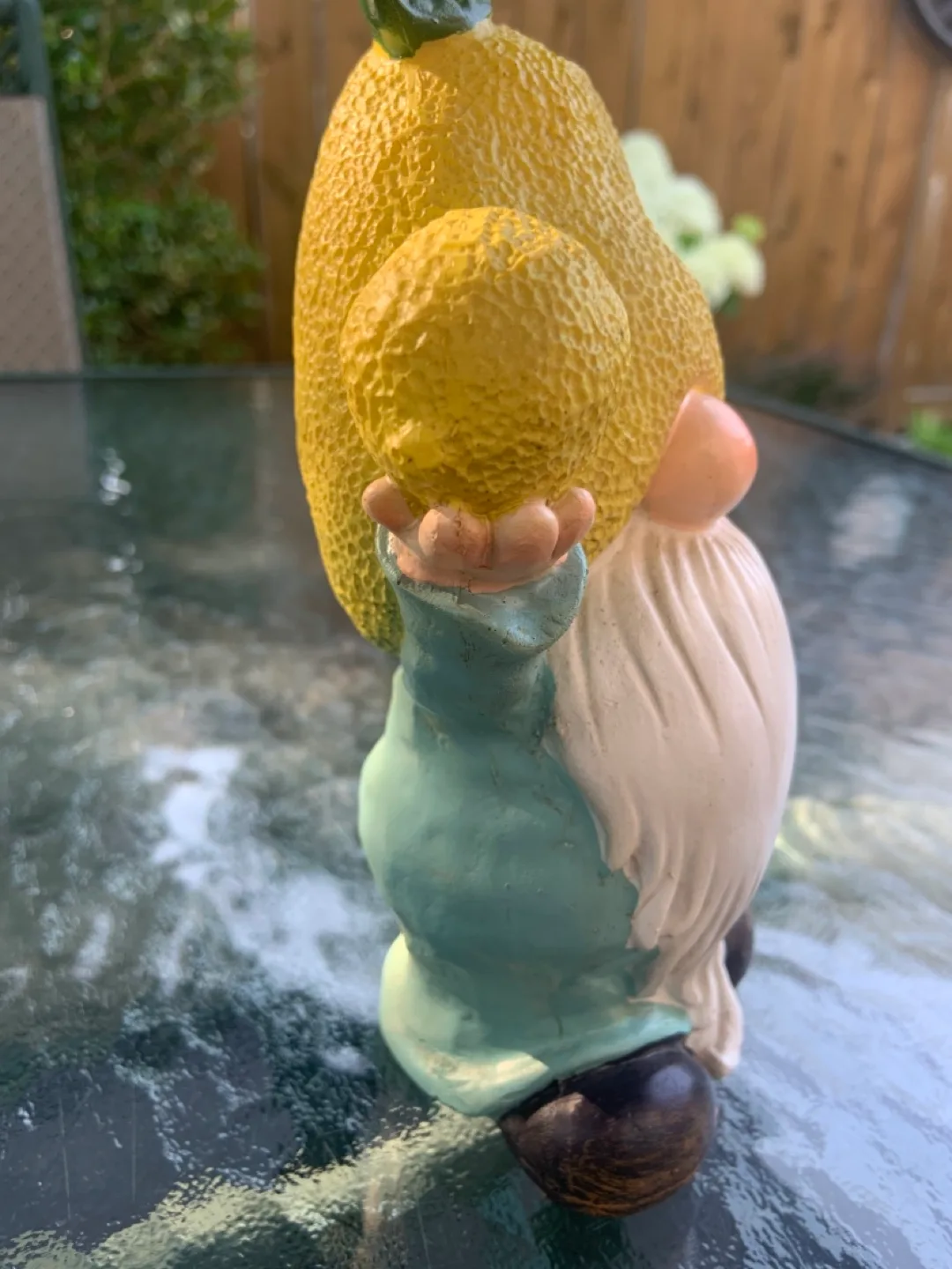 New Lemon Head Garden Gnome image indicator(4)