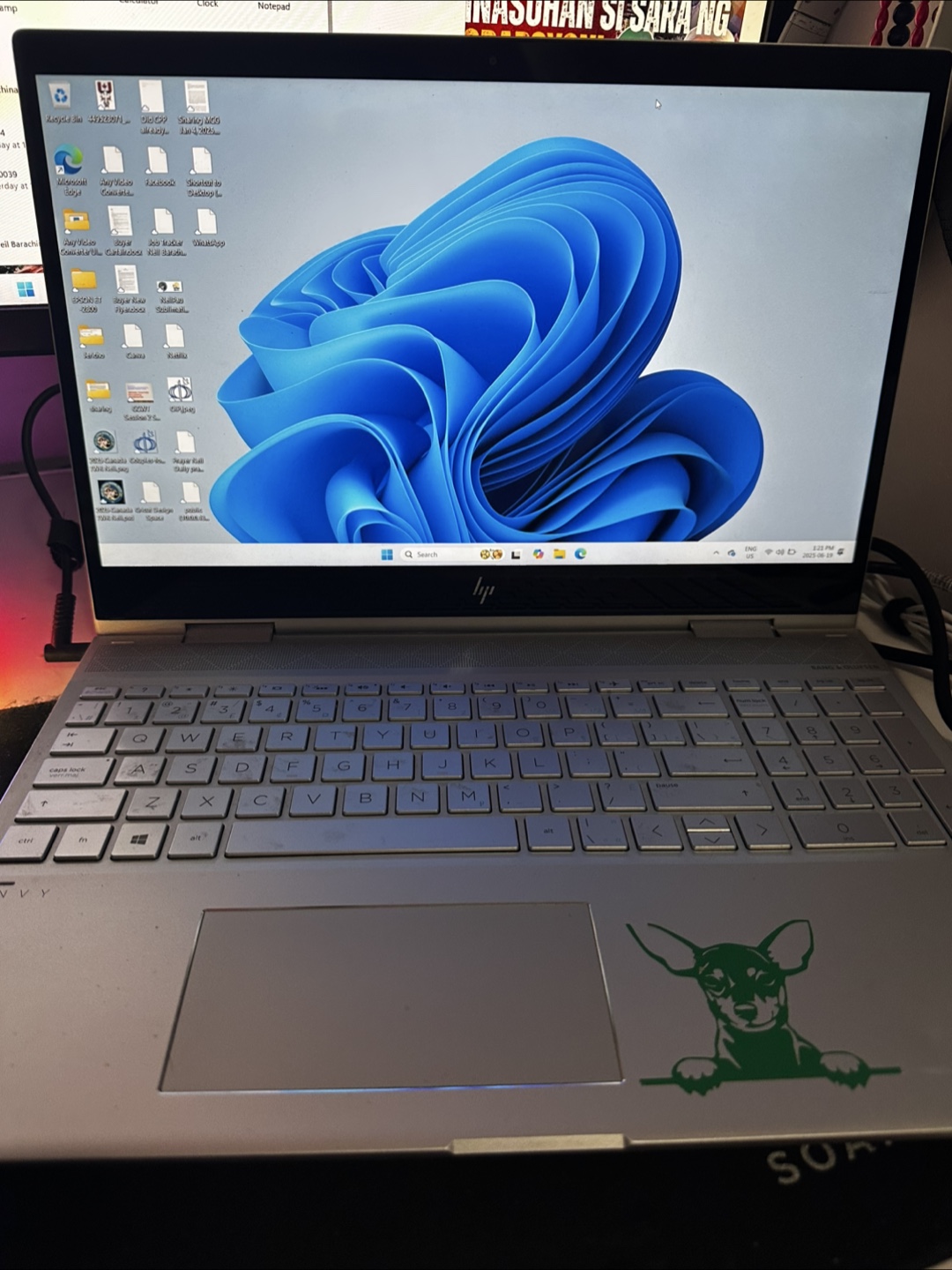 HP ENVY x360 Convertible 15-cn0xxx Laptop
