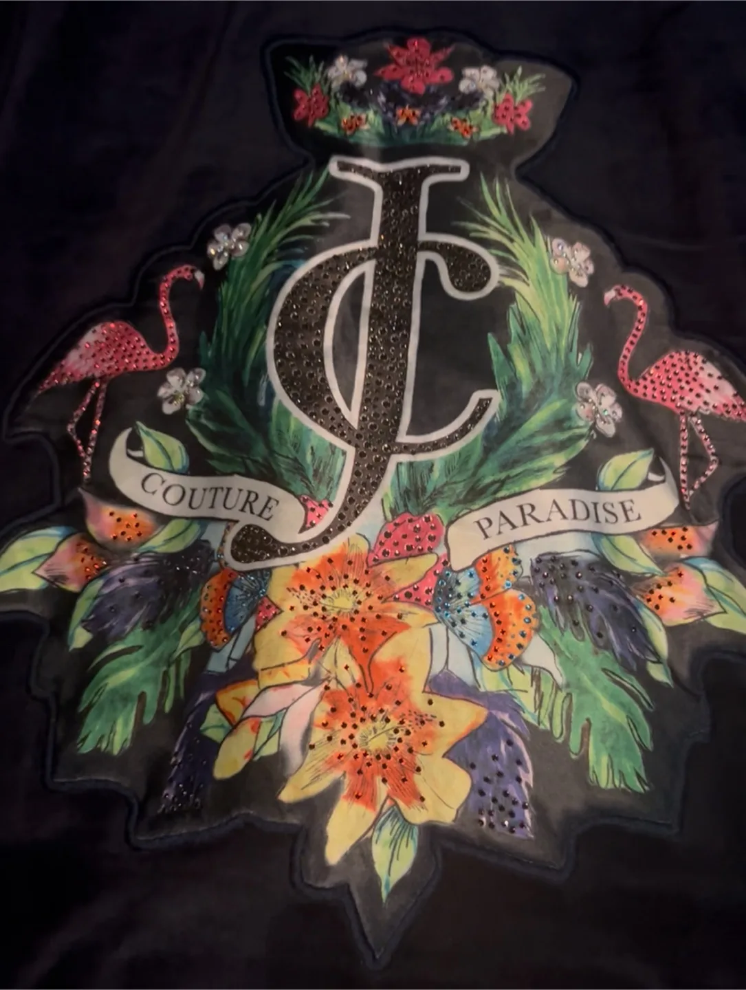 Juicy Couture Hoodie -XL (Dixie&Bloor) image indicator(3)