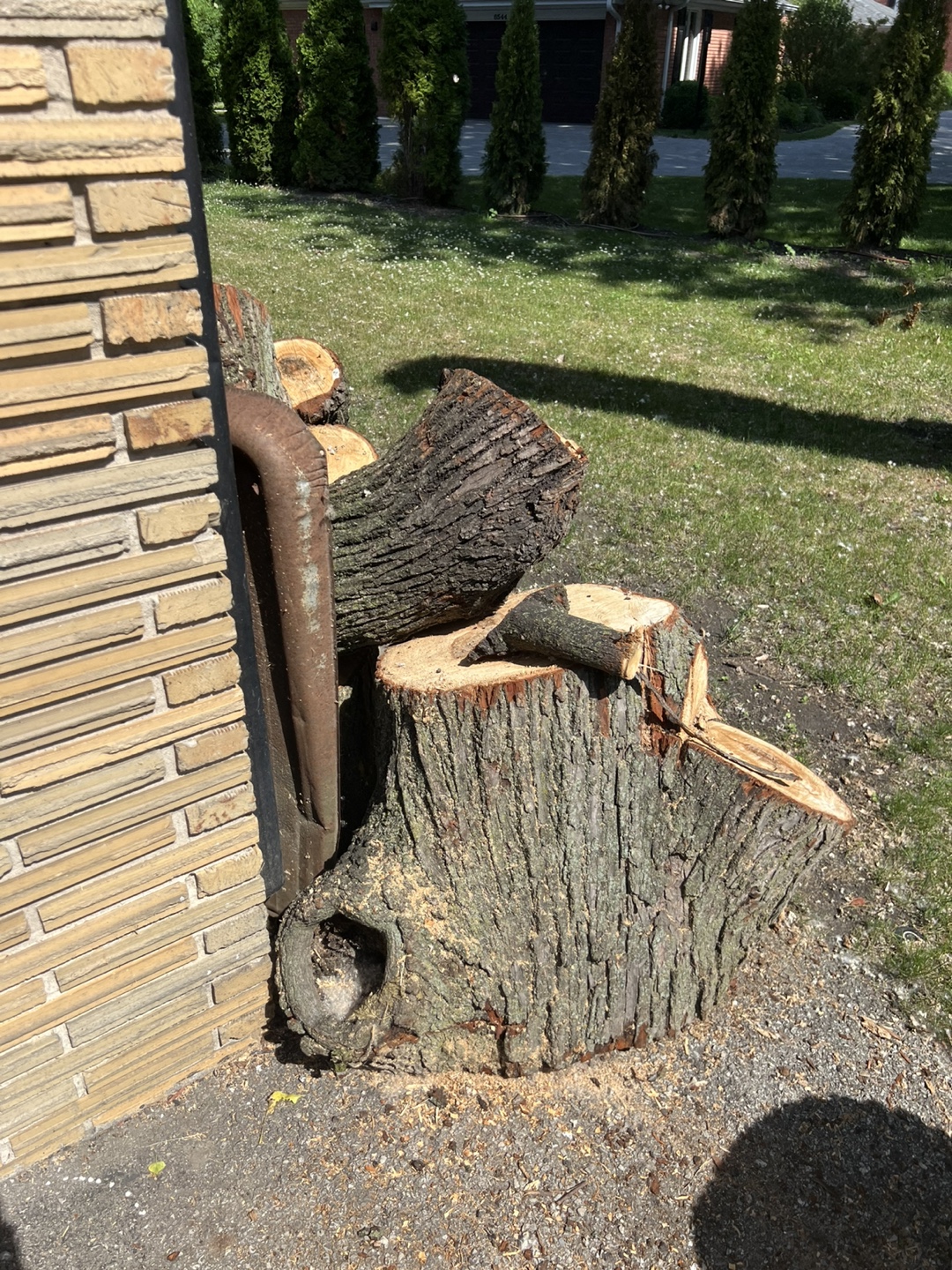 Fire wood free - photo 5