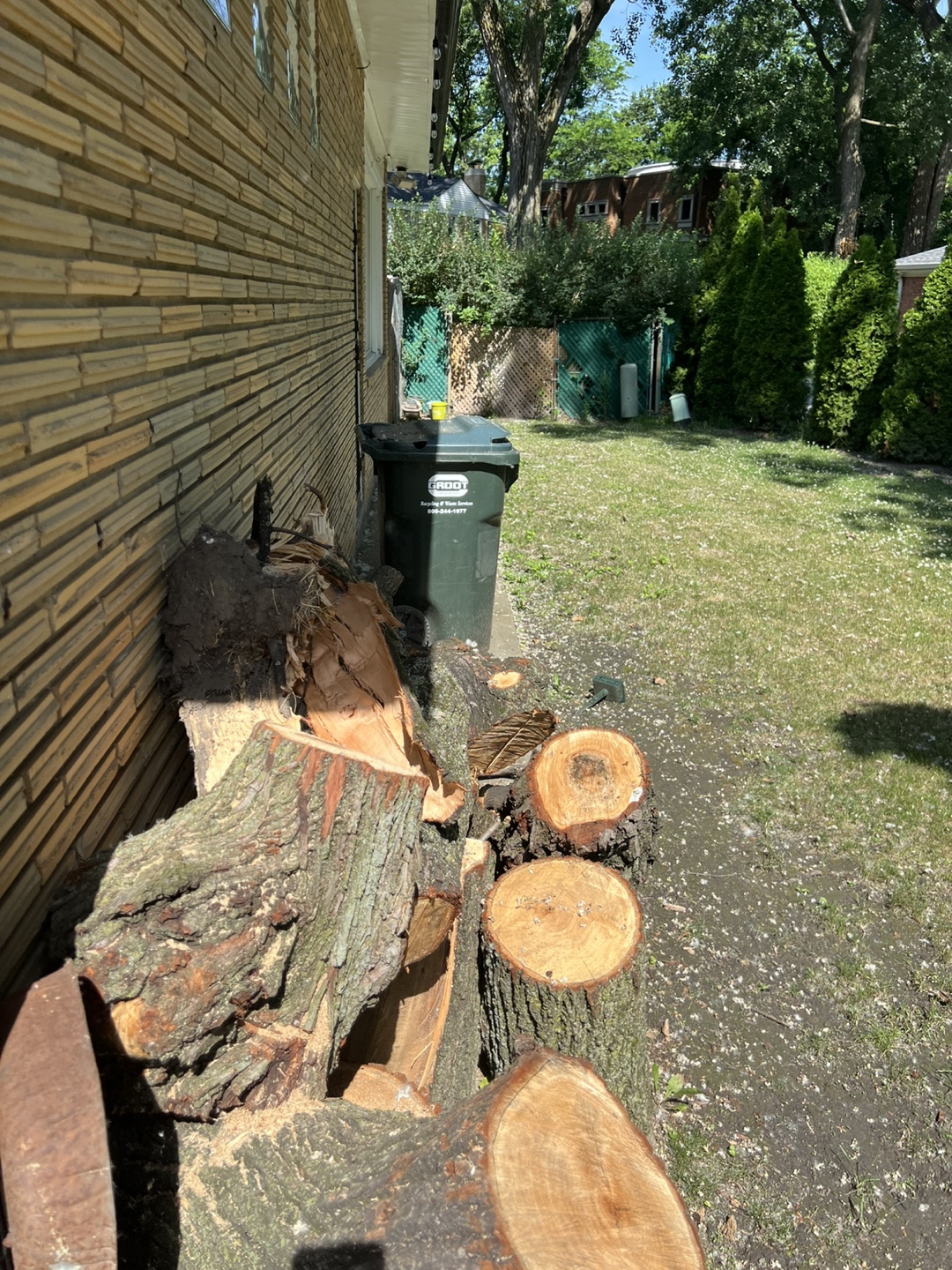 Fire wood free