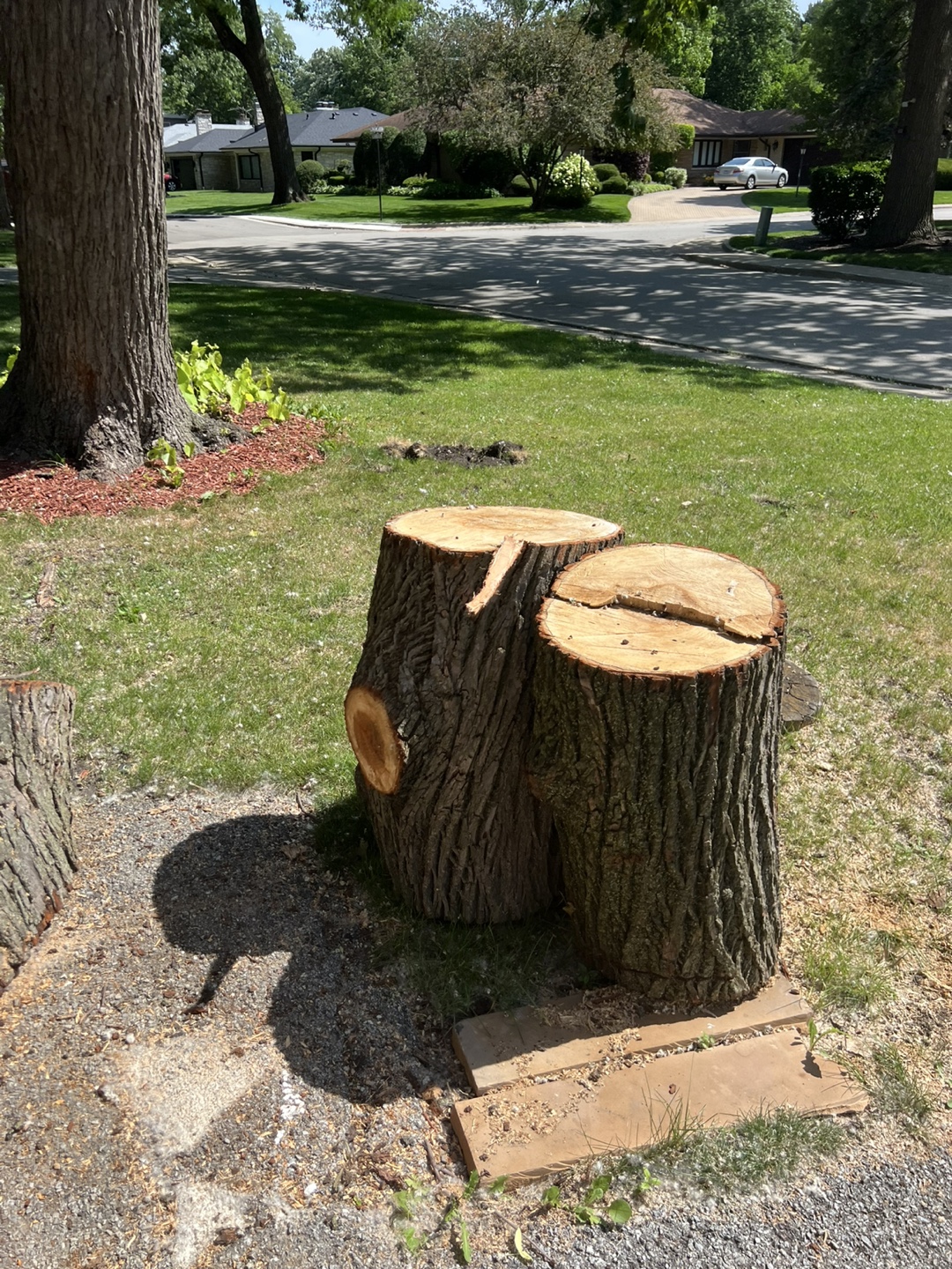 Fire wood free - photo 4