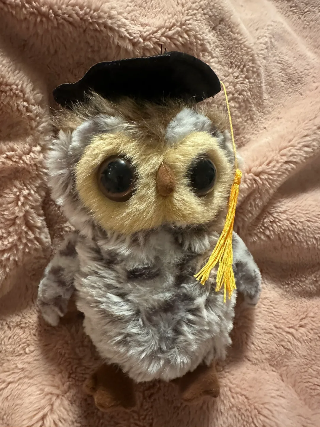 Plushland Owl Graduation Plush image indicator(2)