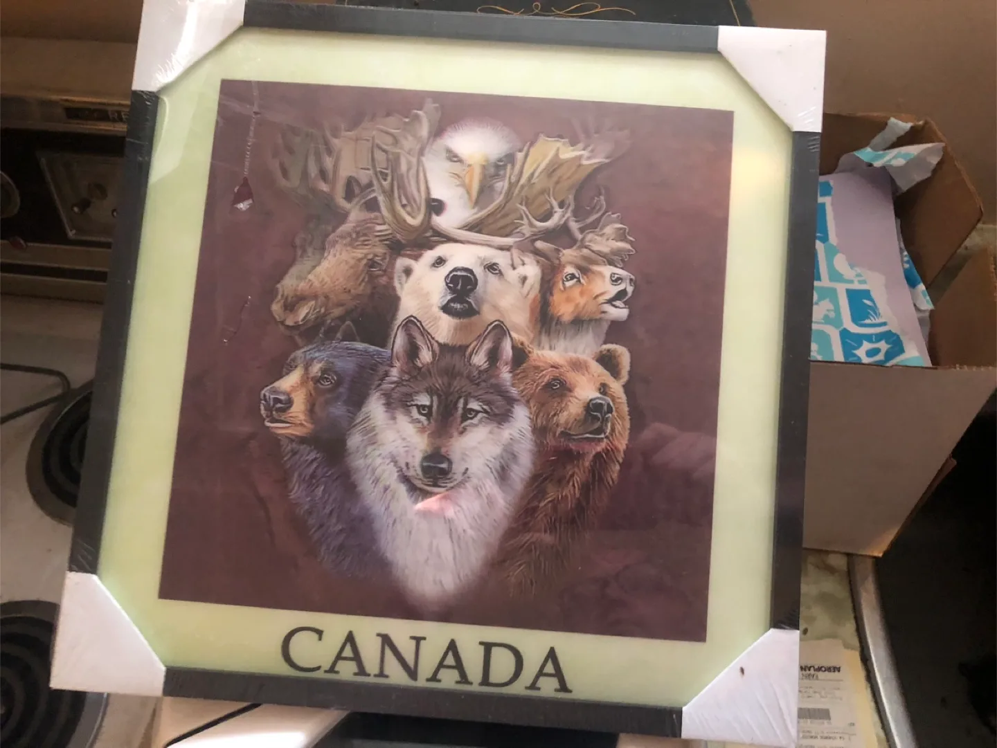 Framed Canada Animals Print thumbnail