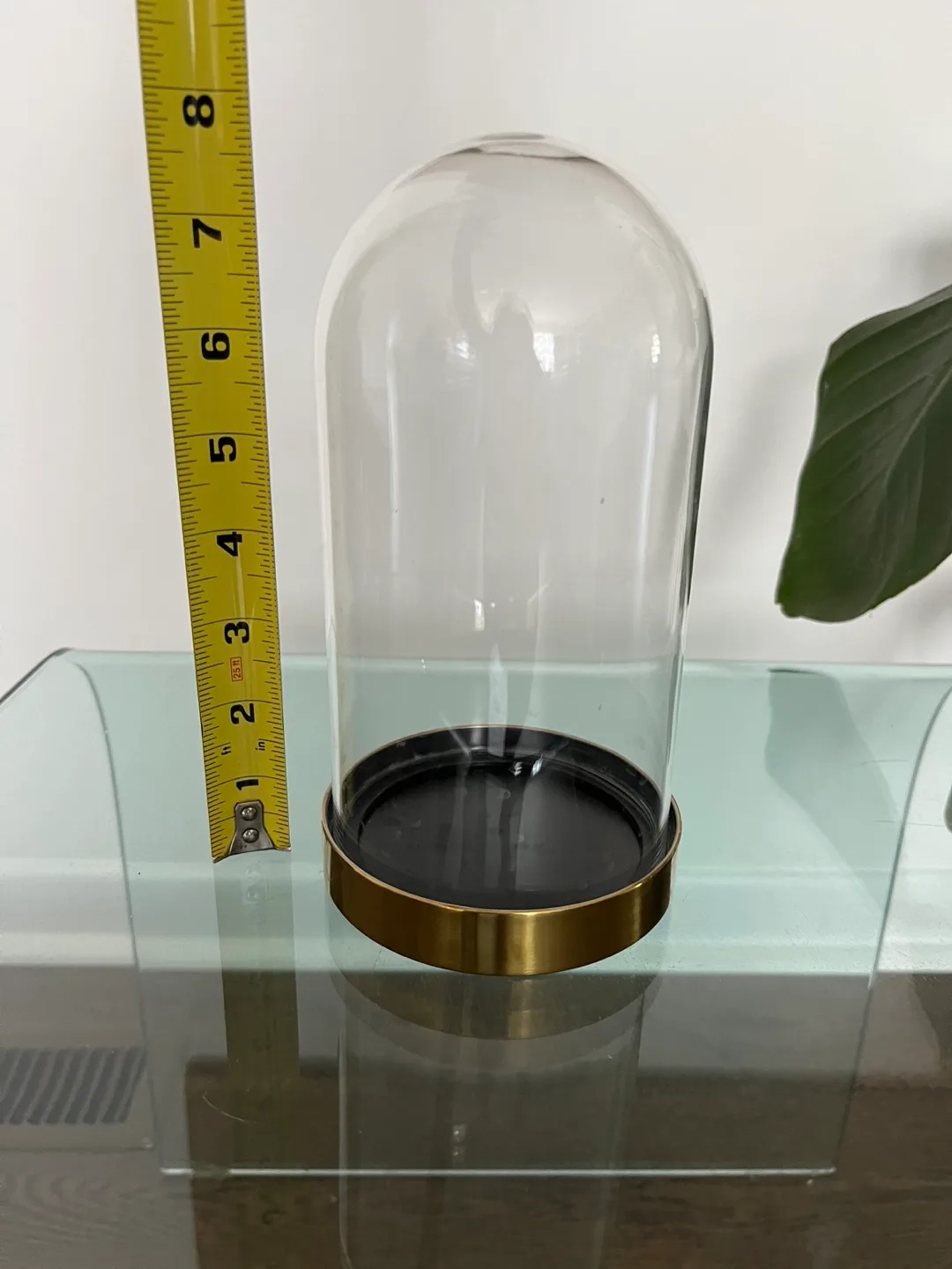 Glass Cloche Dome Display image indicator(2)