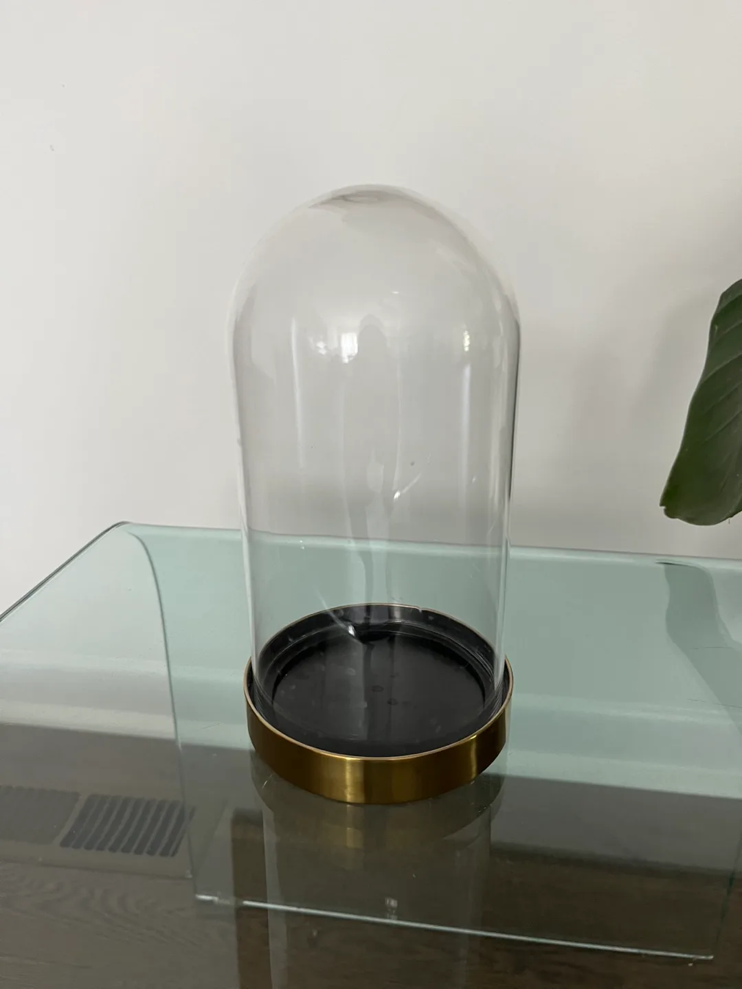 Glass Cloche Dome Display thumbnail