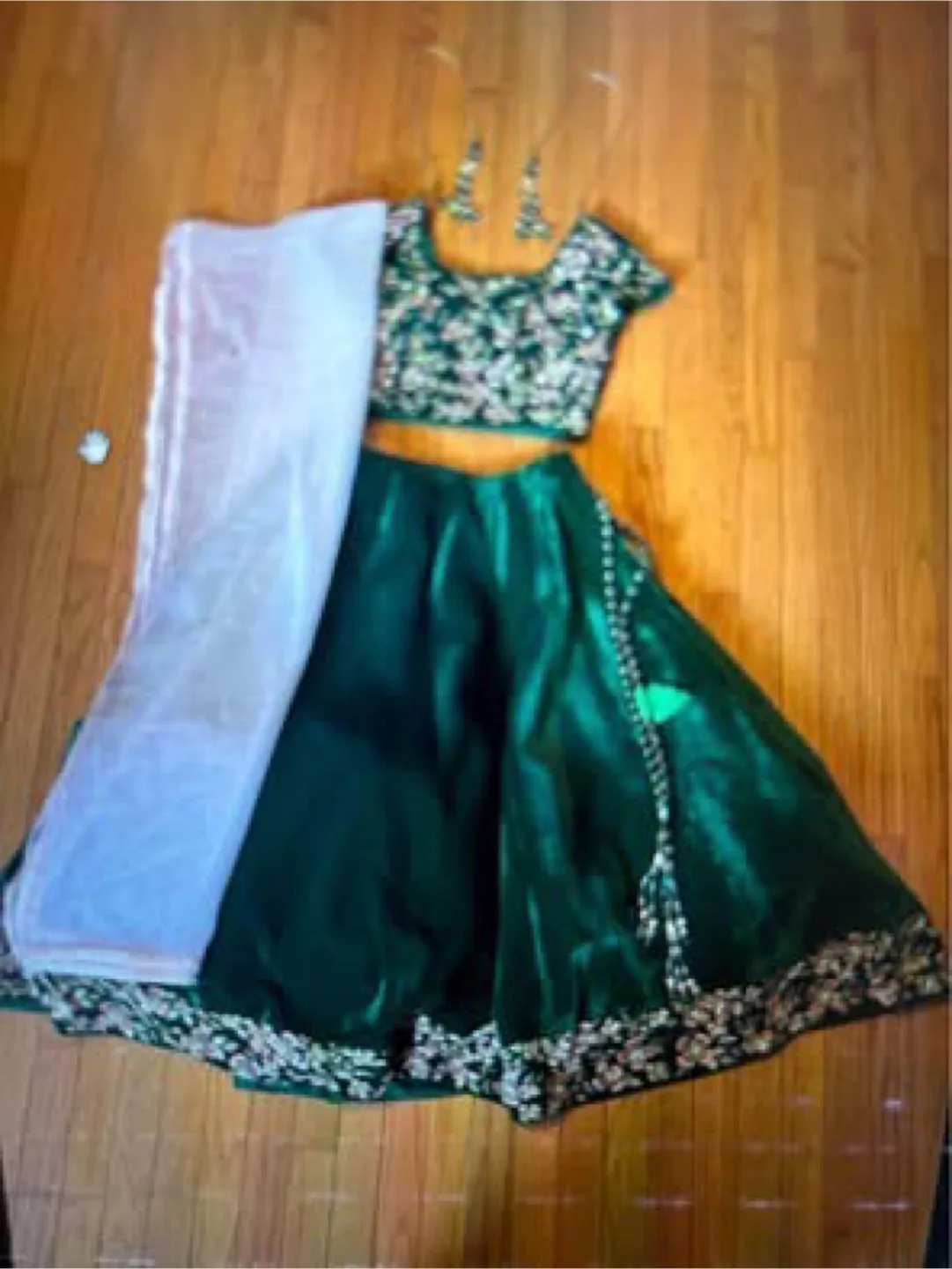 Green Lehenga Choli Set with Dupatta thumbnail