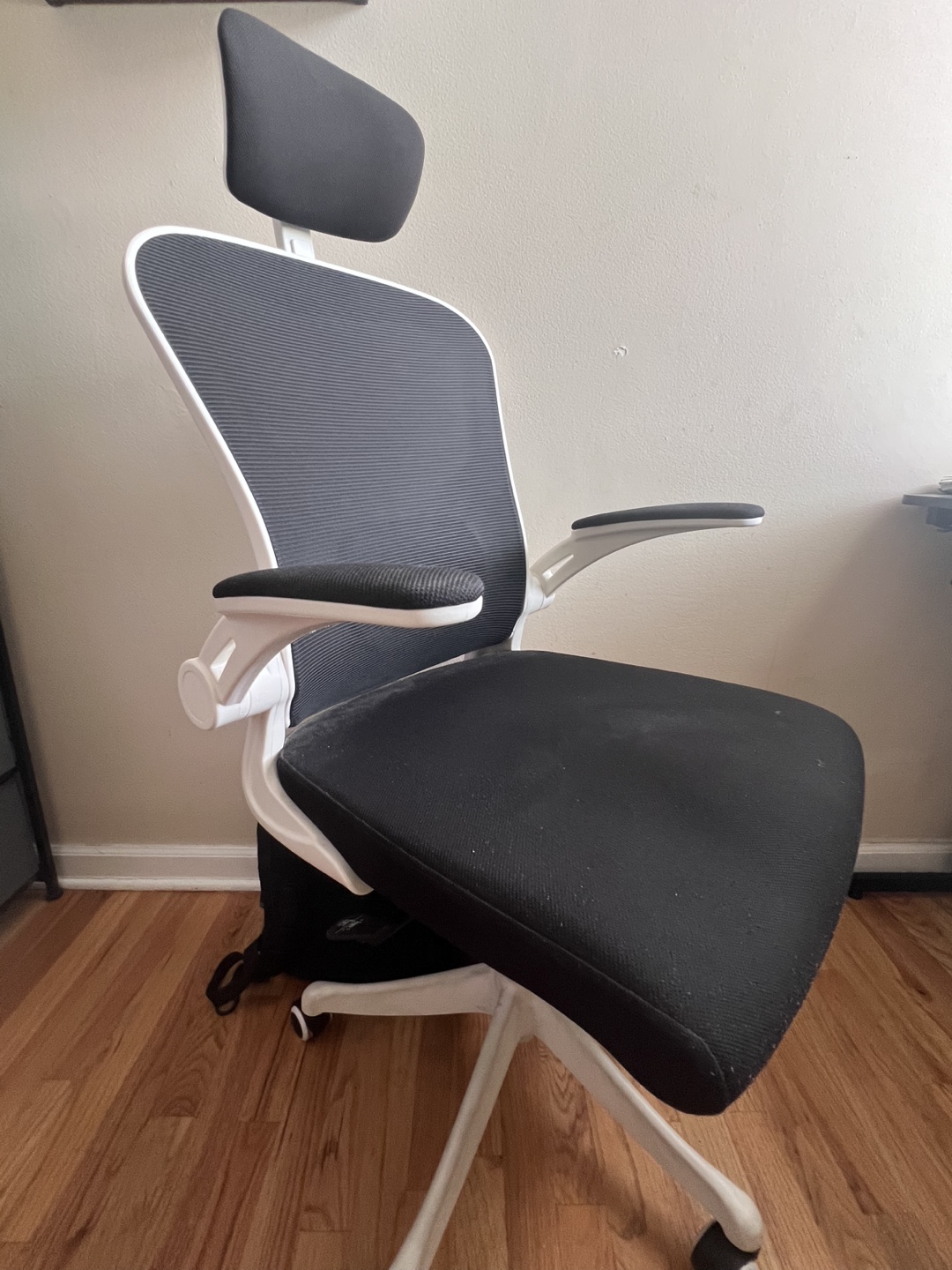 Ergonomic Office Chair - Black and White