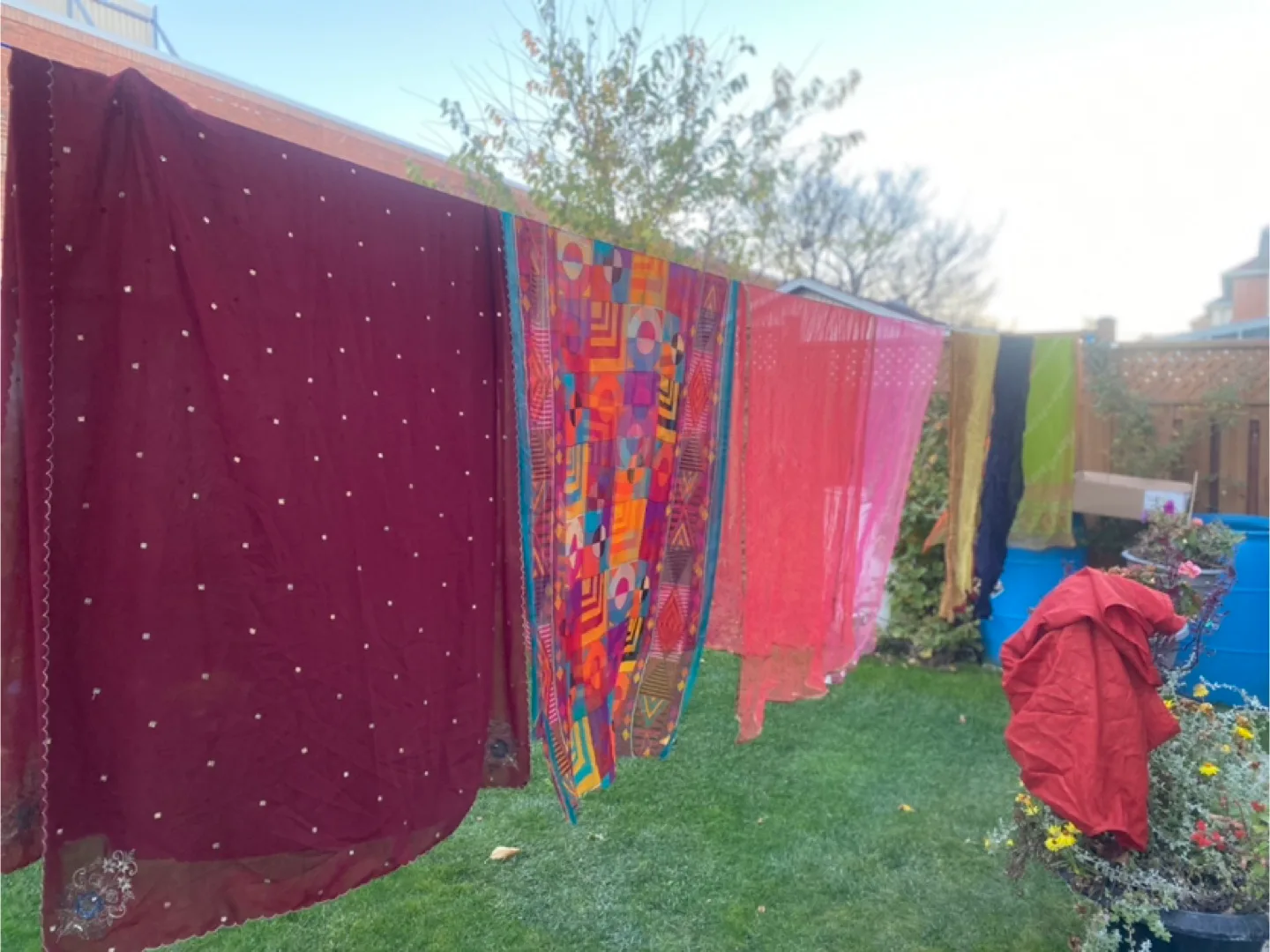 Assorted Colourful Saris thumbnail