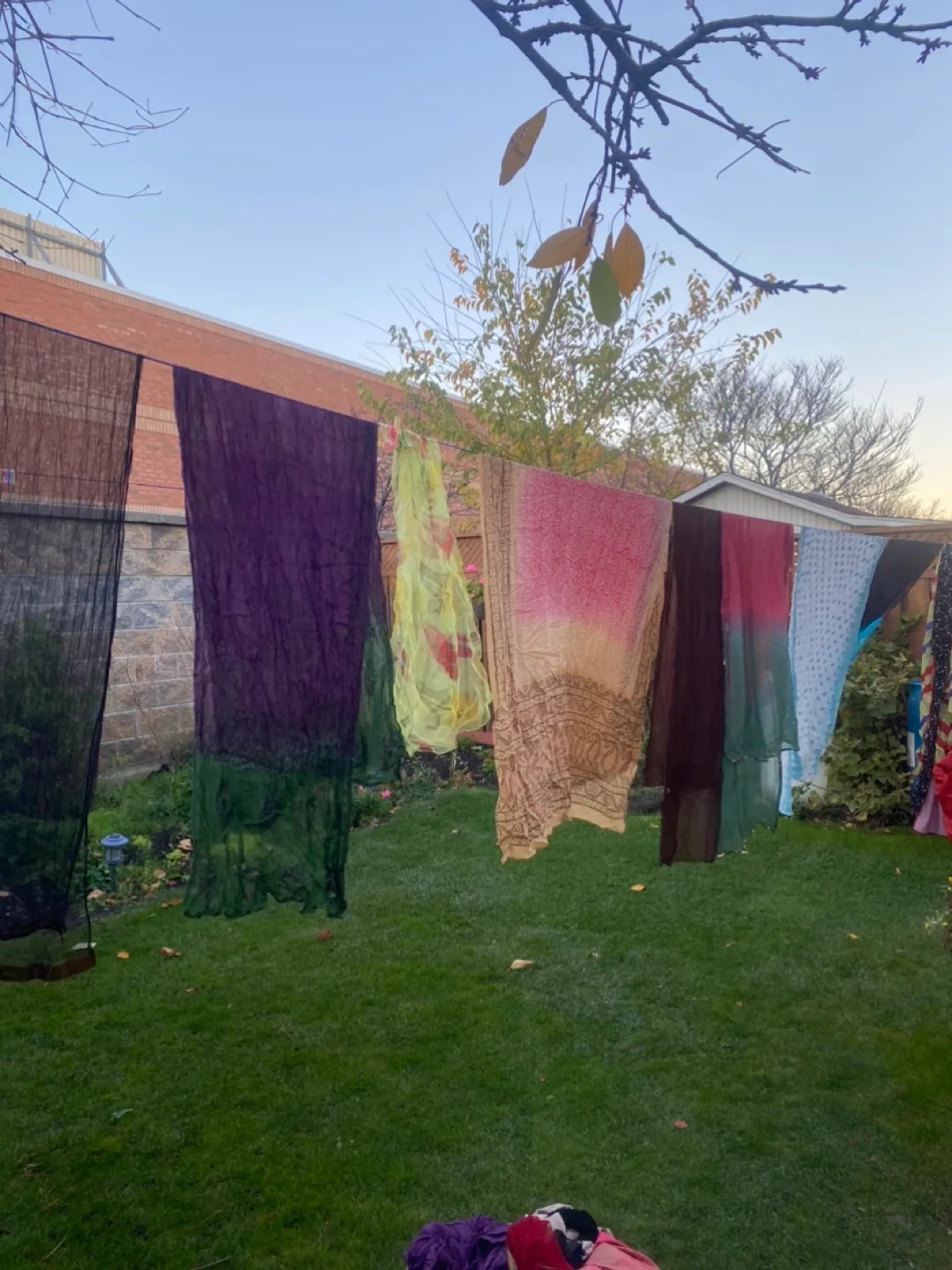 Assorted Saris/Scarves - Variety of Colours thumbnail