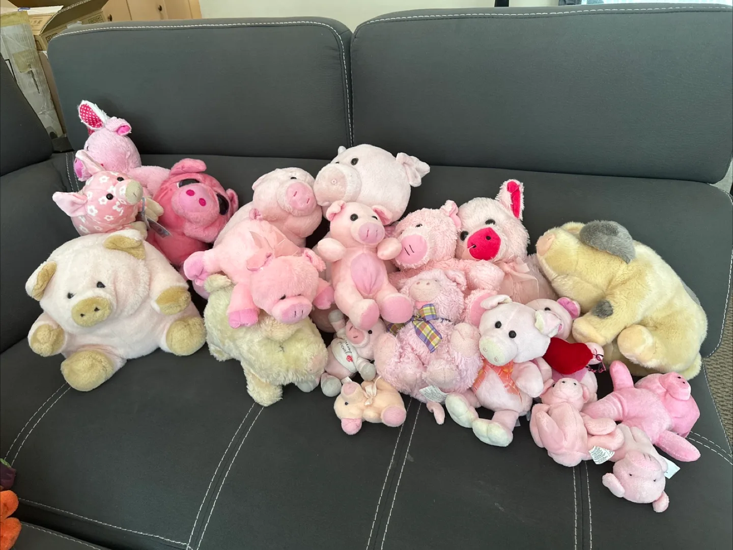 Piggy plushies thumbnail