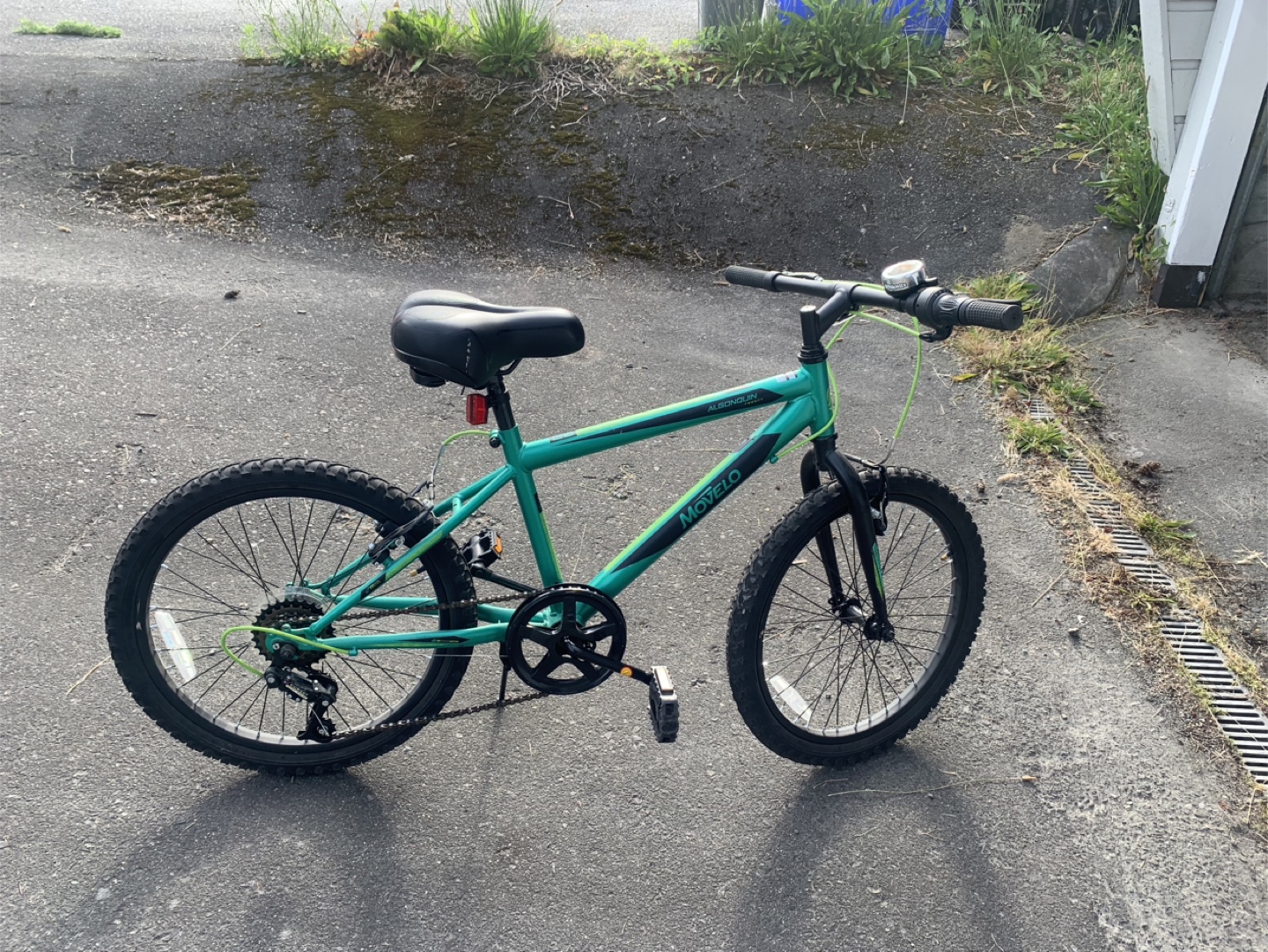 Kids bike ((green or pink)can come in a pair)