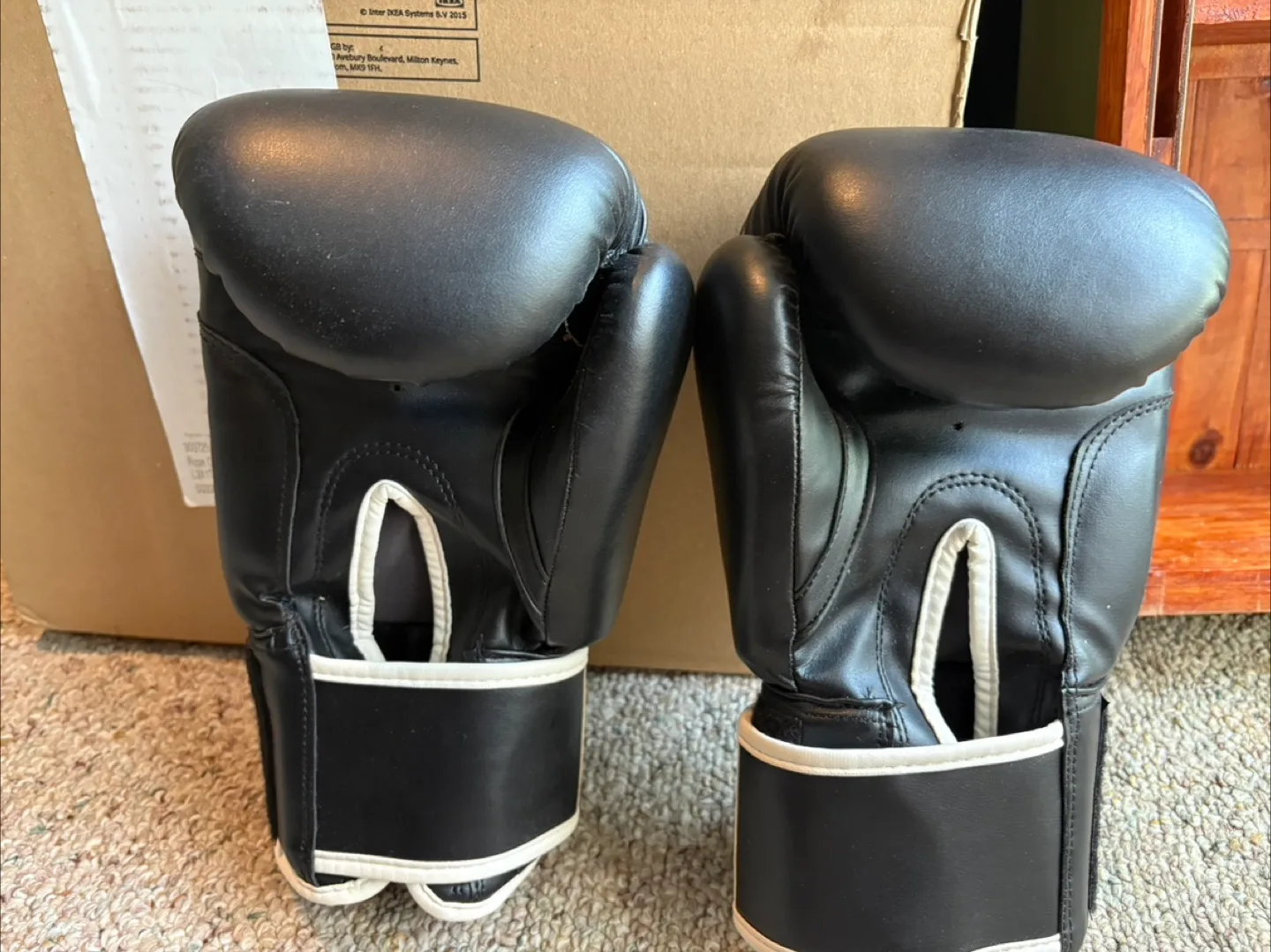 Northern Fight Co. Boxing Gloves 10oz image indicator(2)