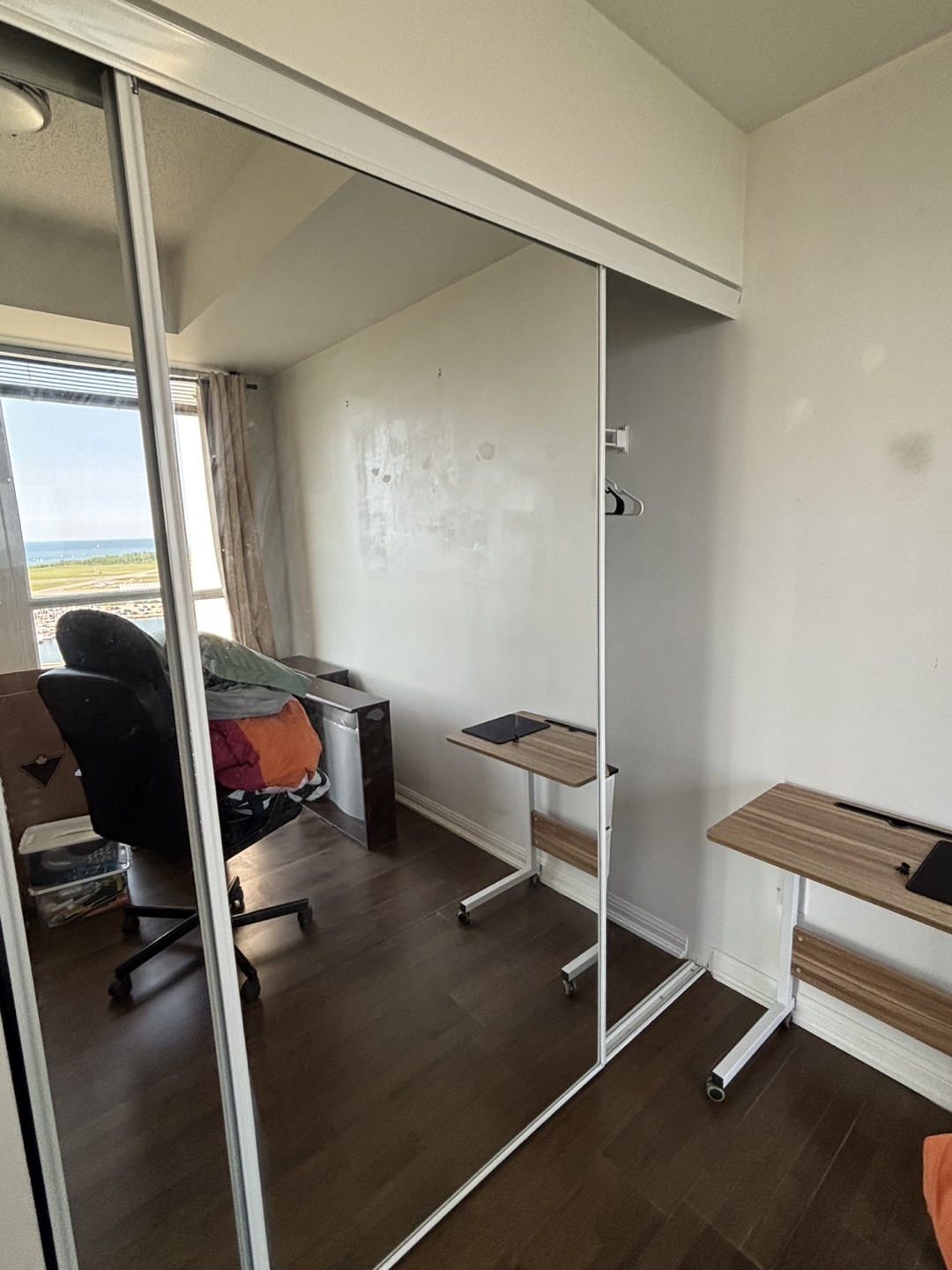 Sliding Closet Doors with Mirror - photo 2