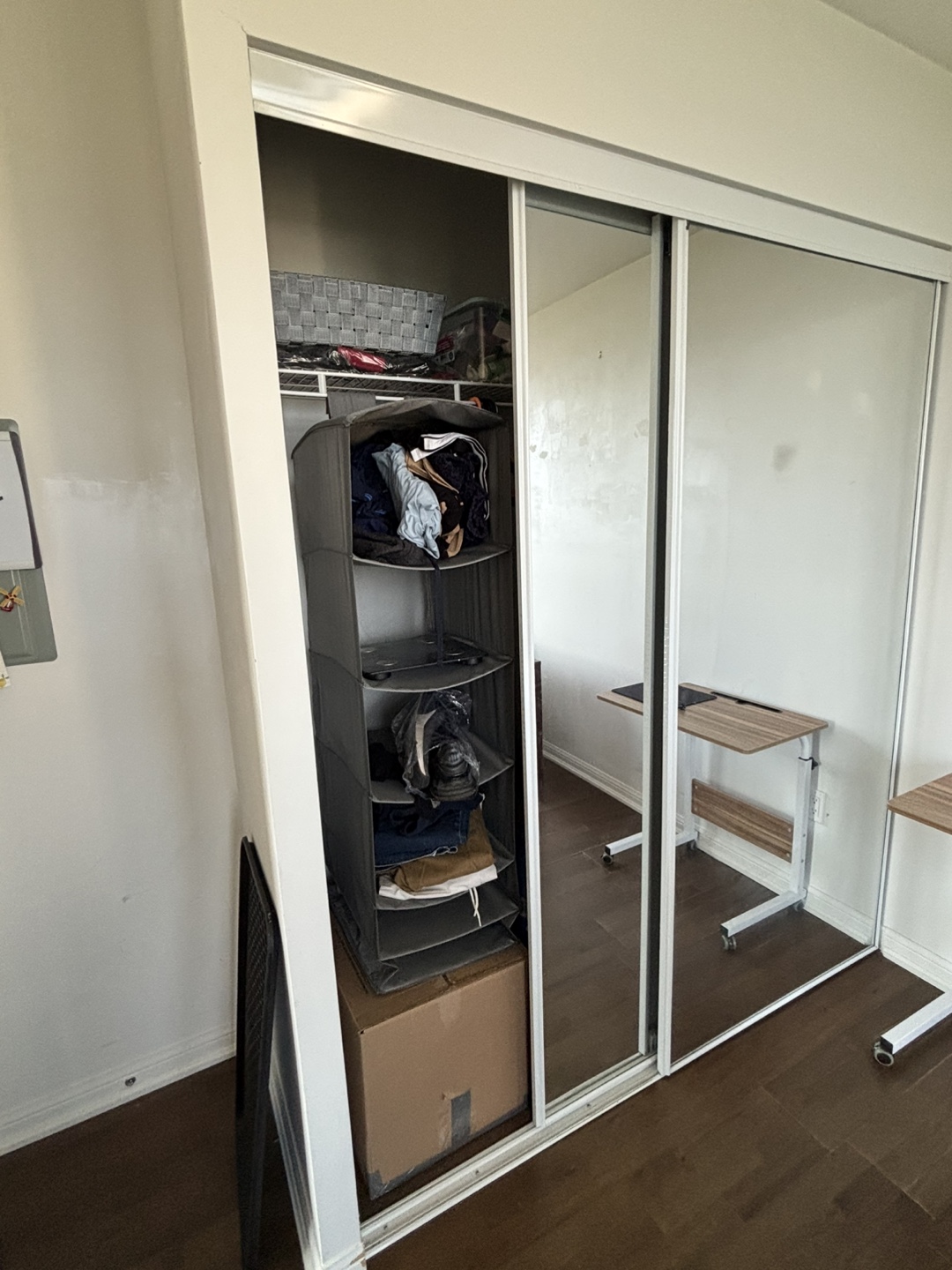 Sliding Closet Doors with Mirror - photo 3