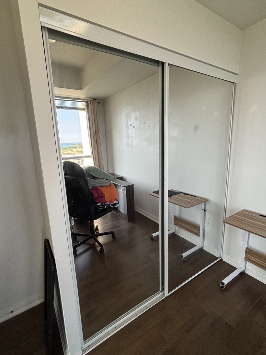 Sliding Closet Doors with Mirror - photo 4