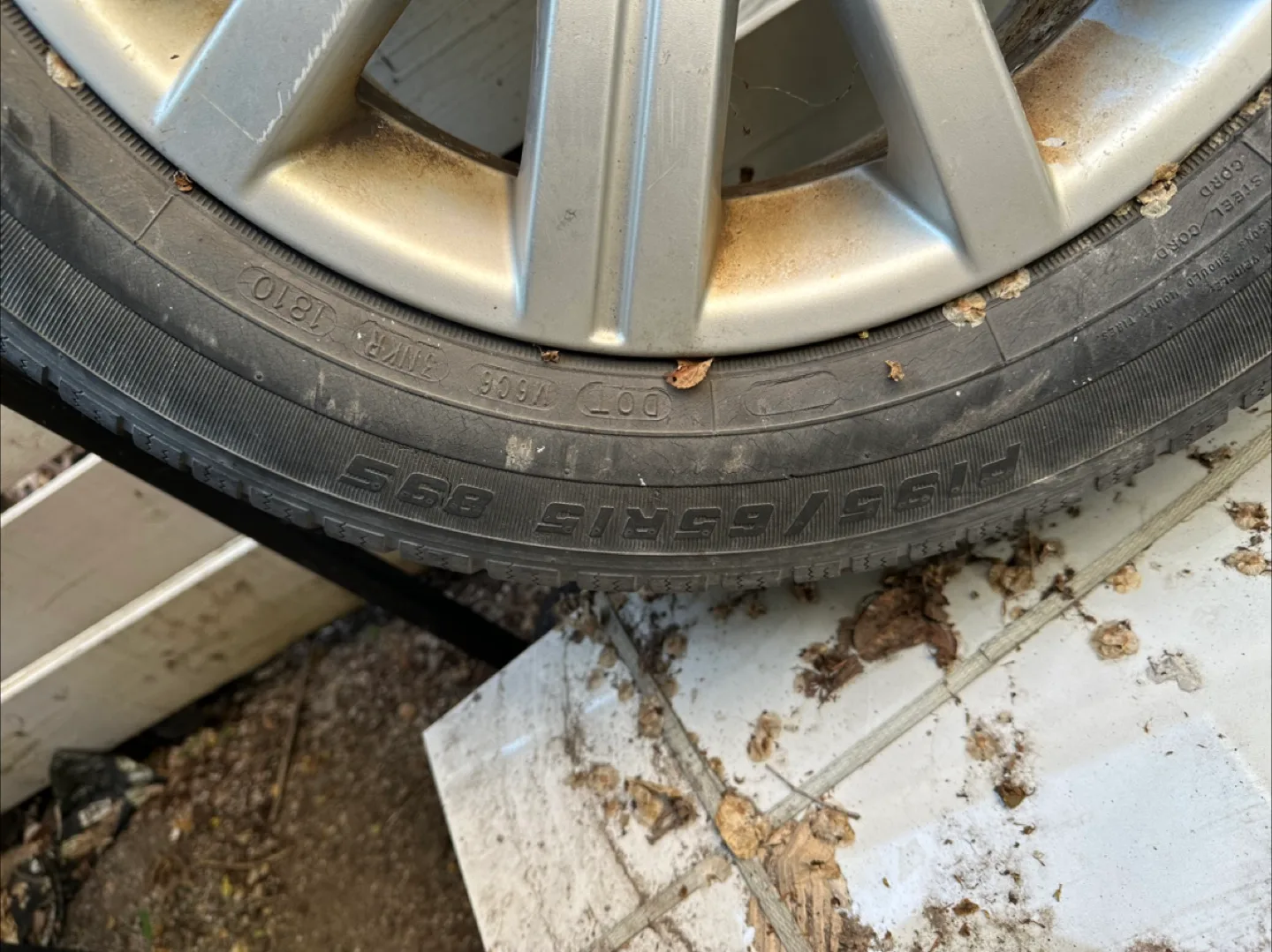 All Season Tires - 195/65R15 image indicator(3)