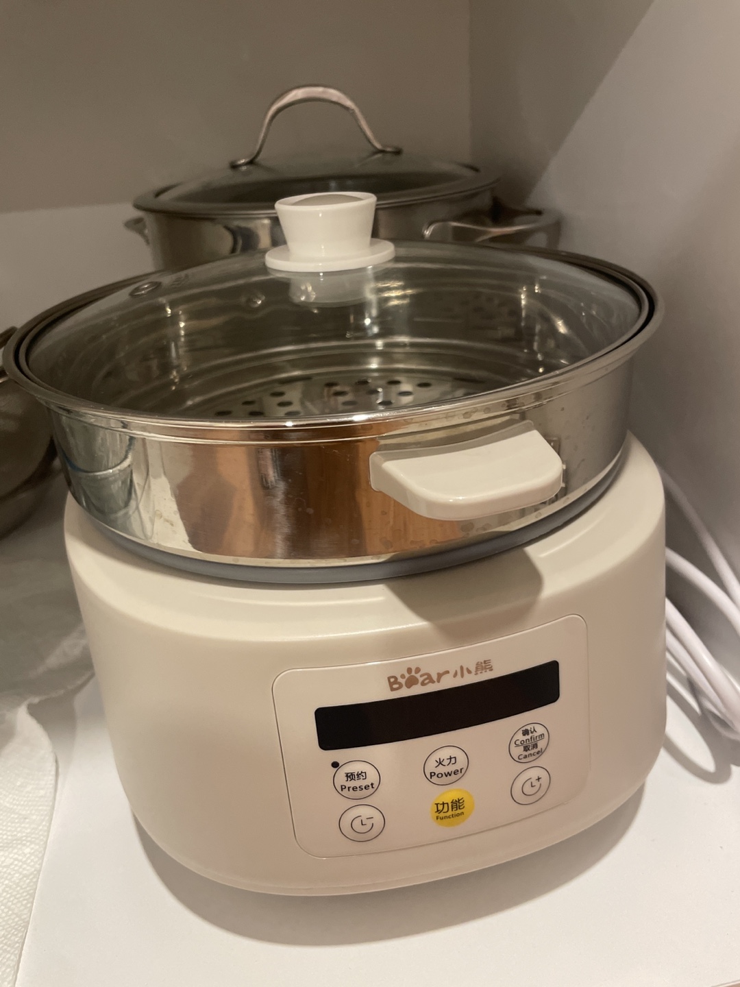 Bear DGG-A30C1 Steam Cooker