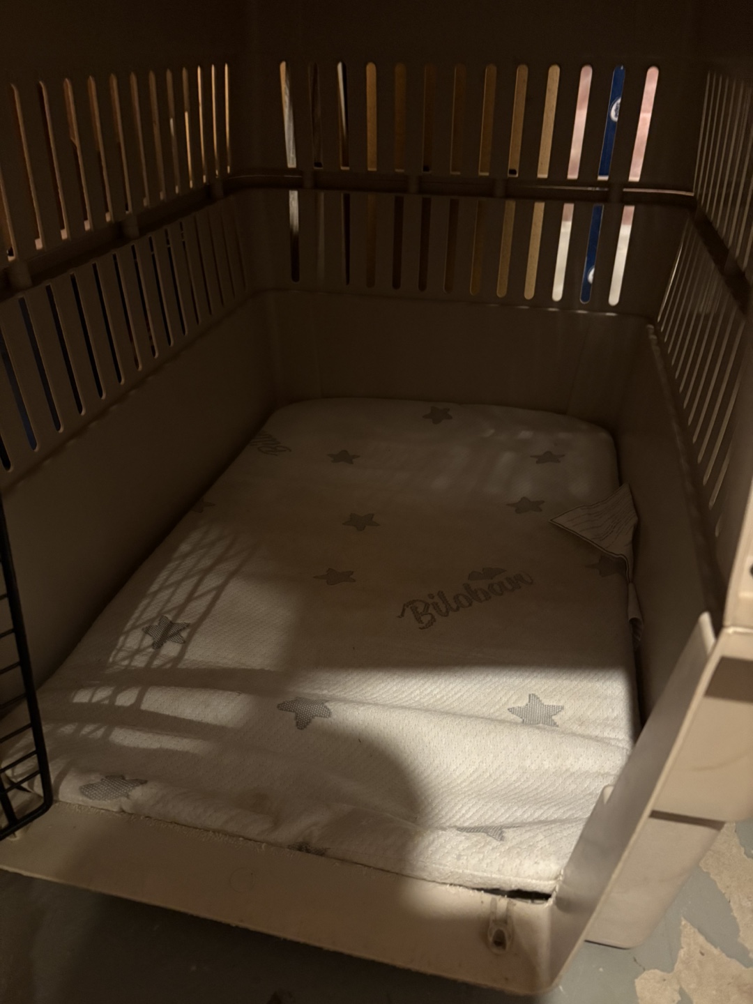 Pet Carrier with Bedding - photo 4