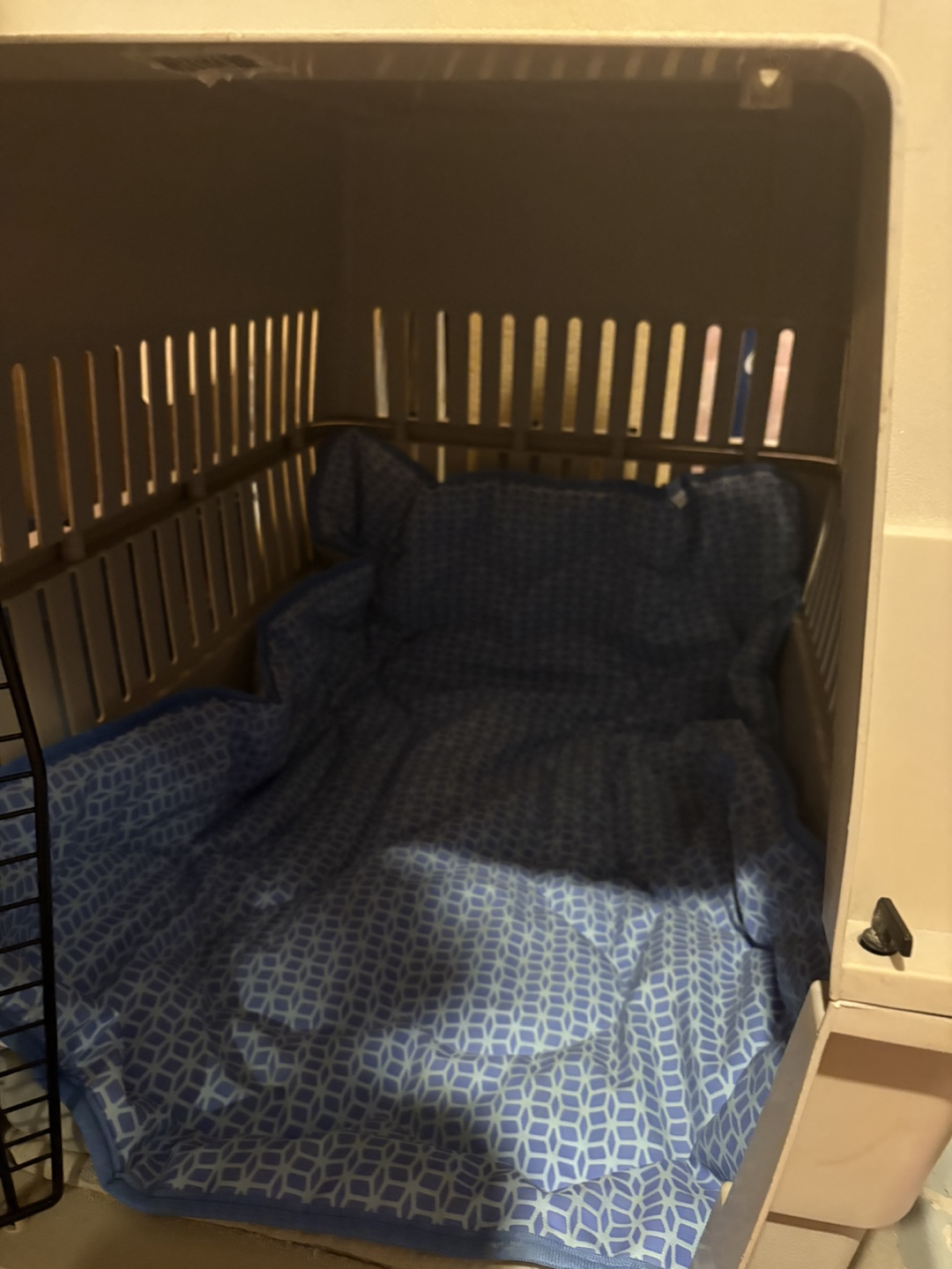 Pet Carrier with Bedding - photo 5