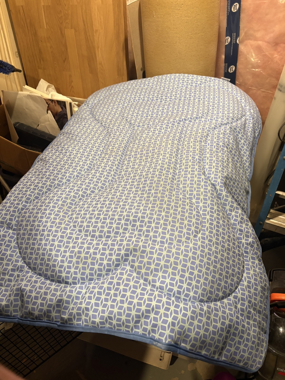 Pet Carrier with Bedding