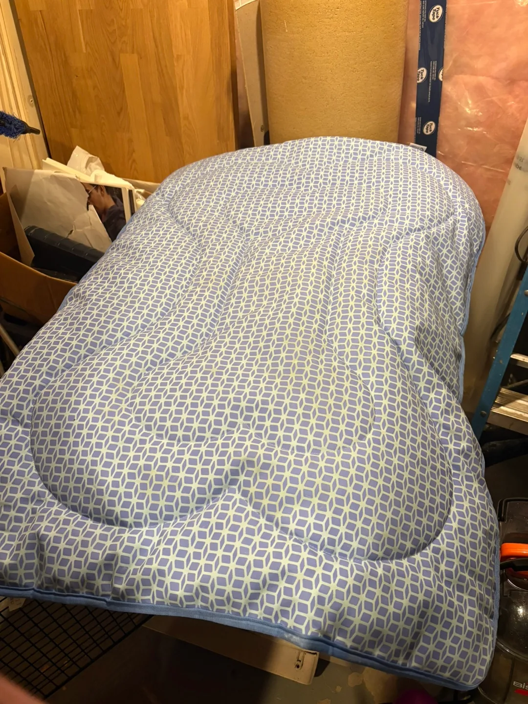 Pet Carrier with Bedding thumbnail