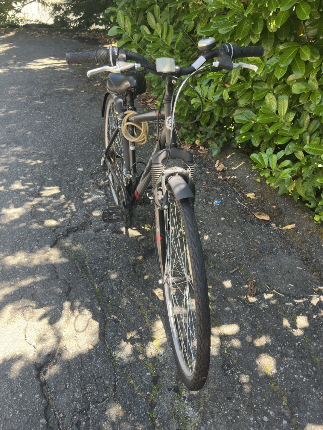 Supercycle Solace Bike